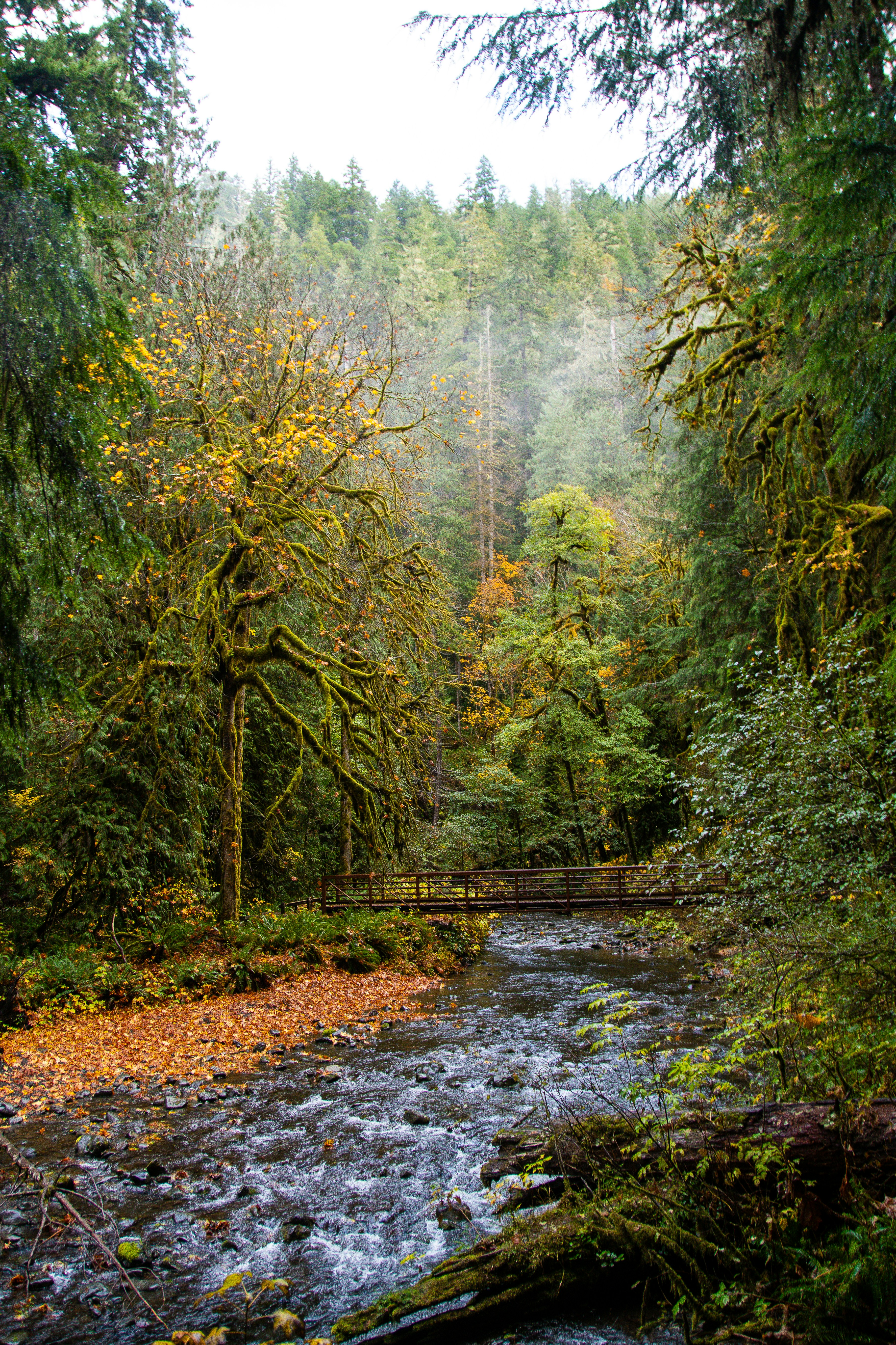 Photo by jackcharles