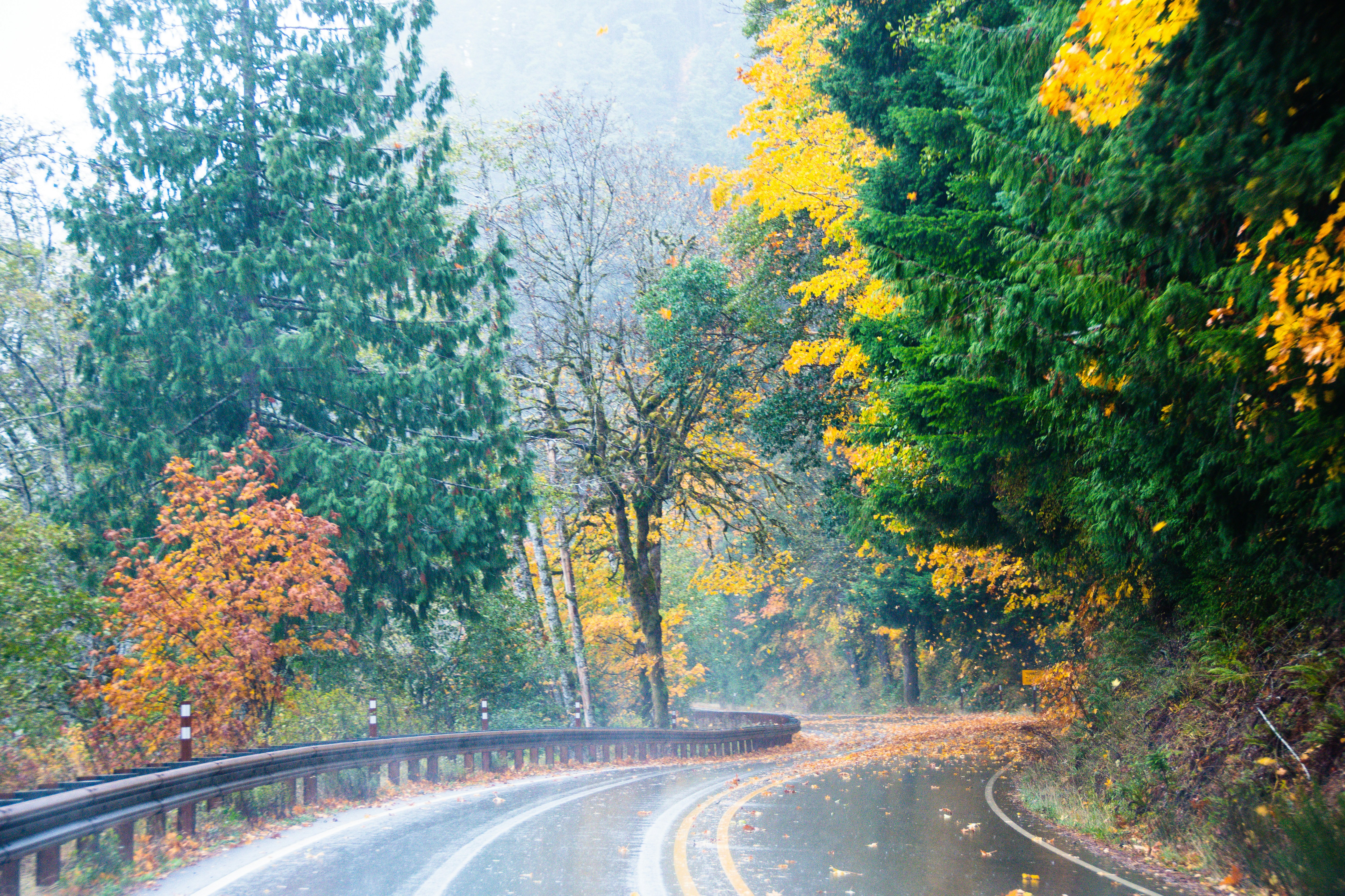 Photo by jackcharles