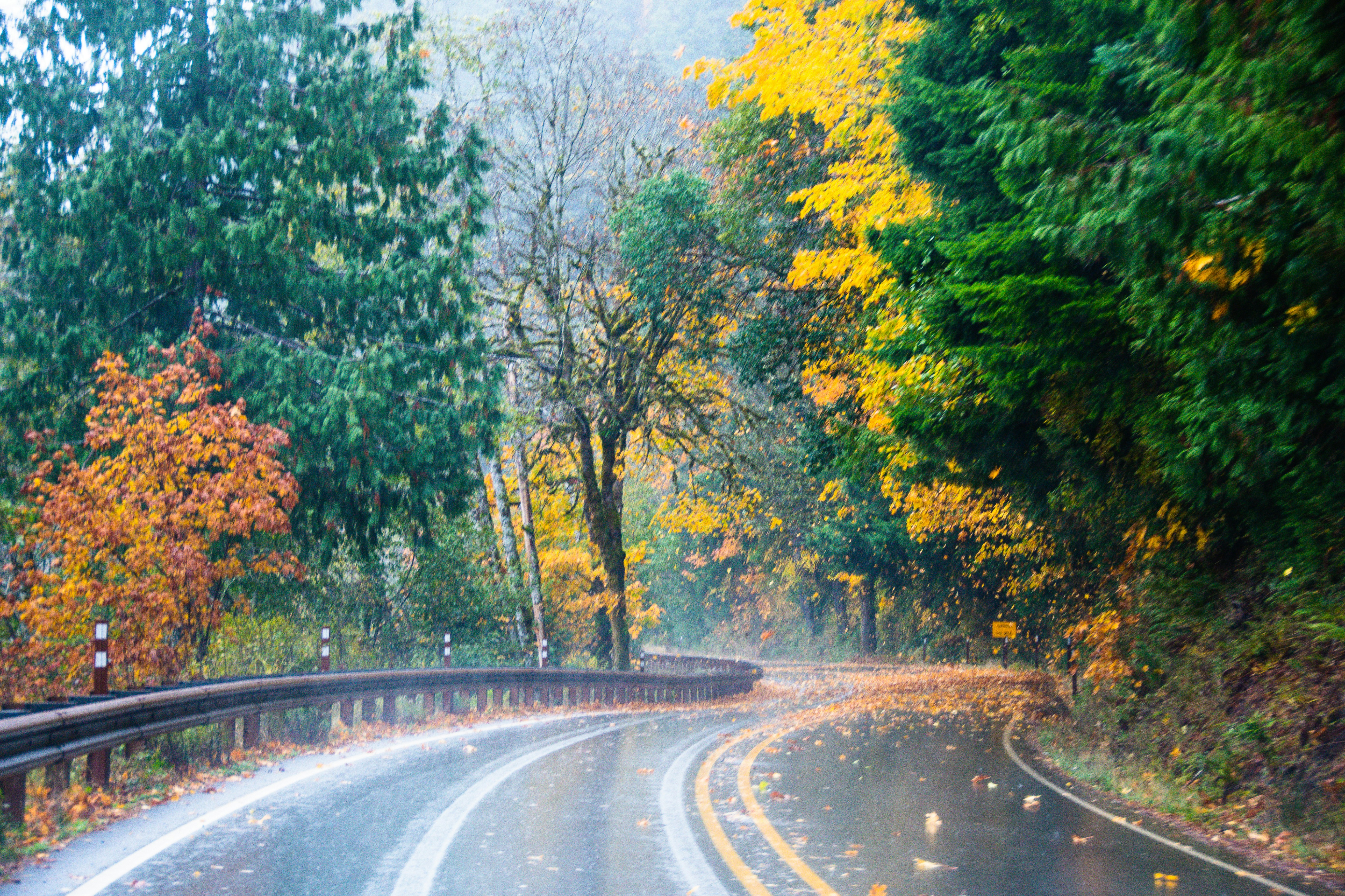 Photo by jackcharles