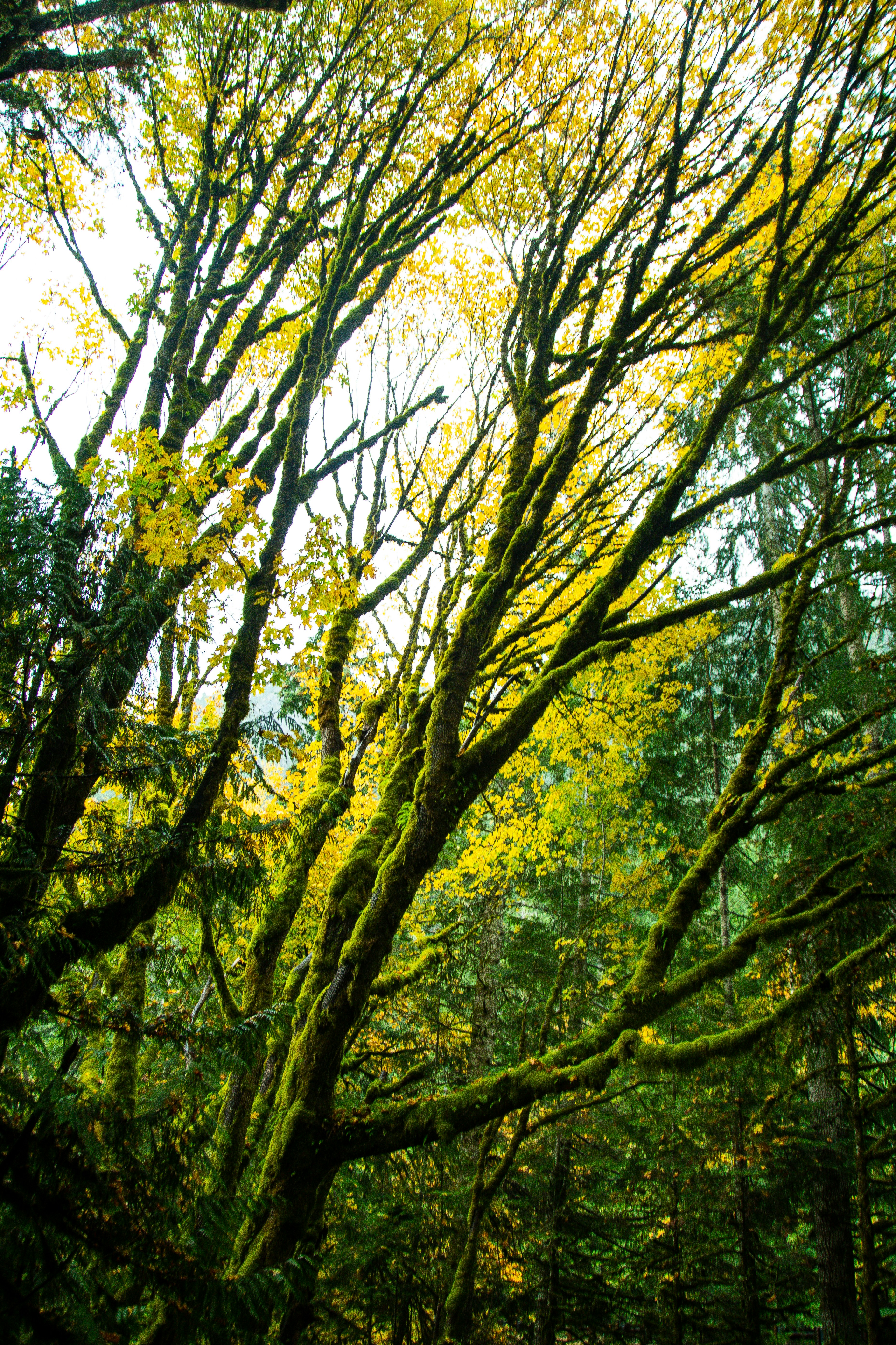 Photo by jackcharles