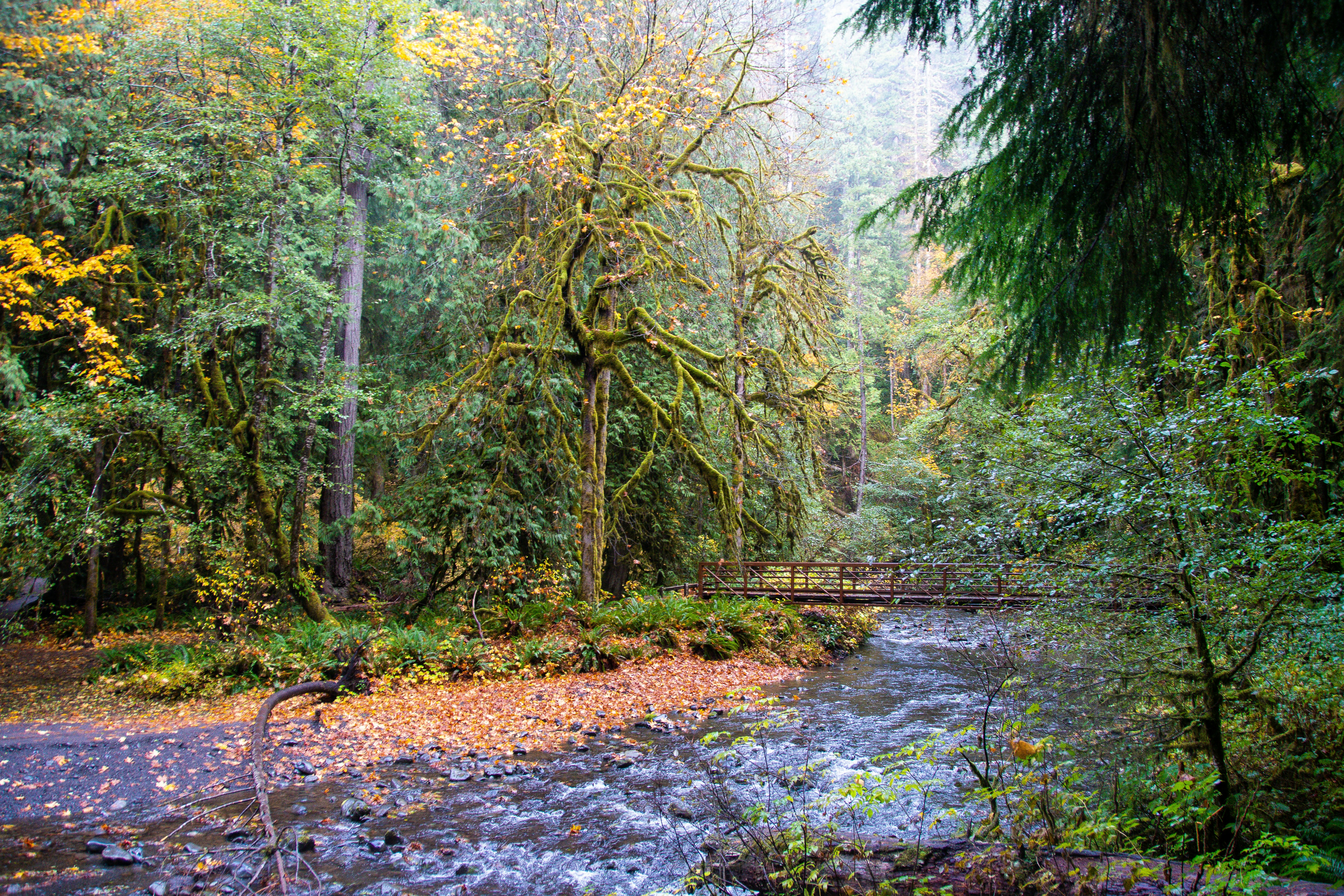 Photo by jackcharles