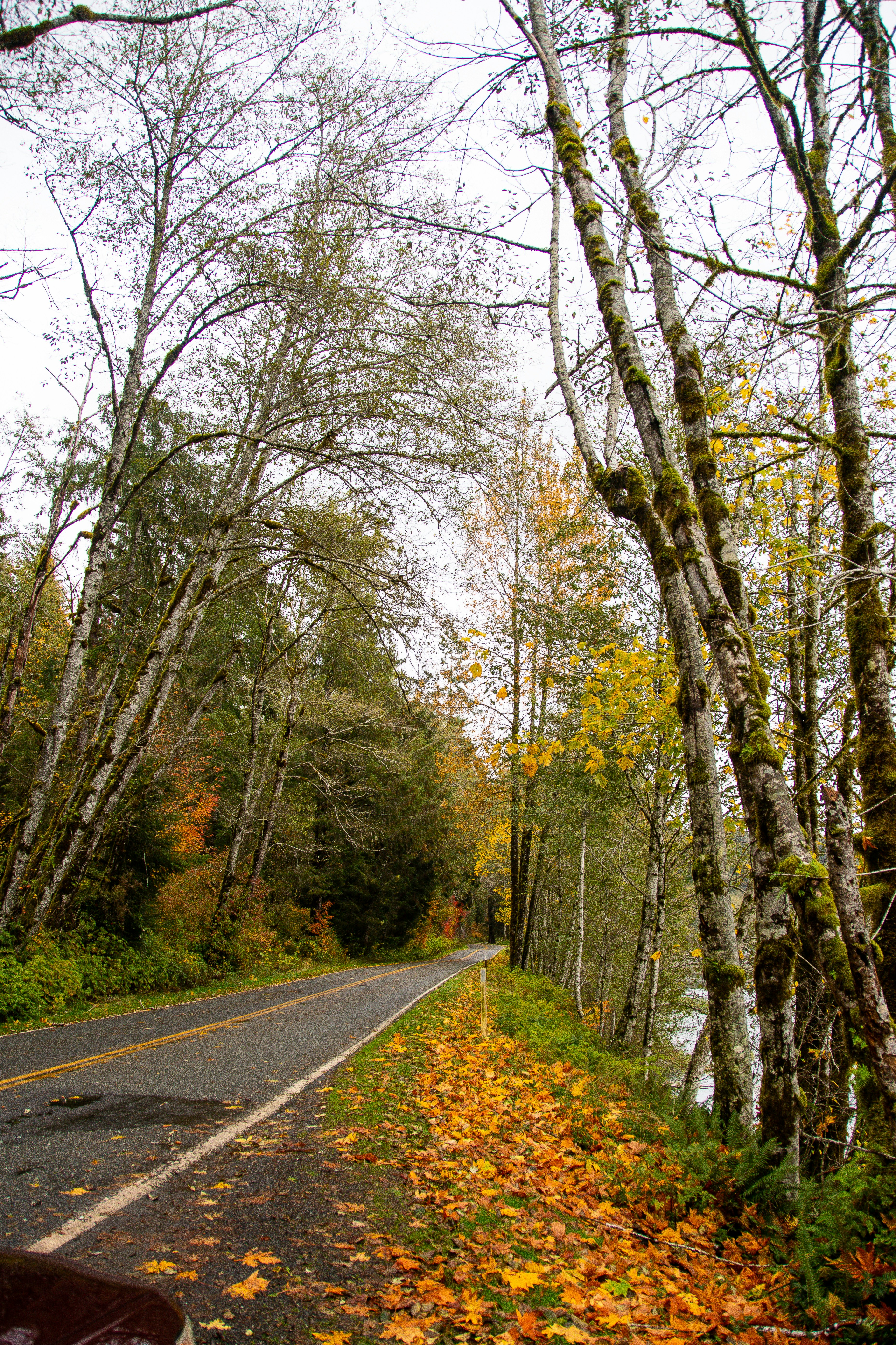 Photo by jackcharles