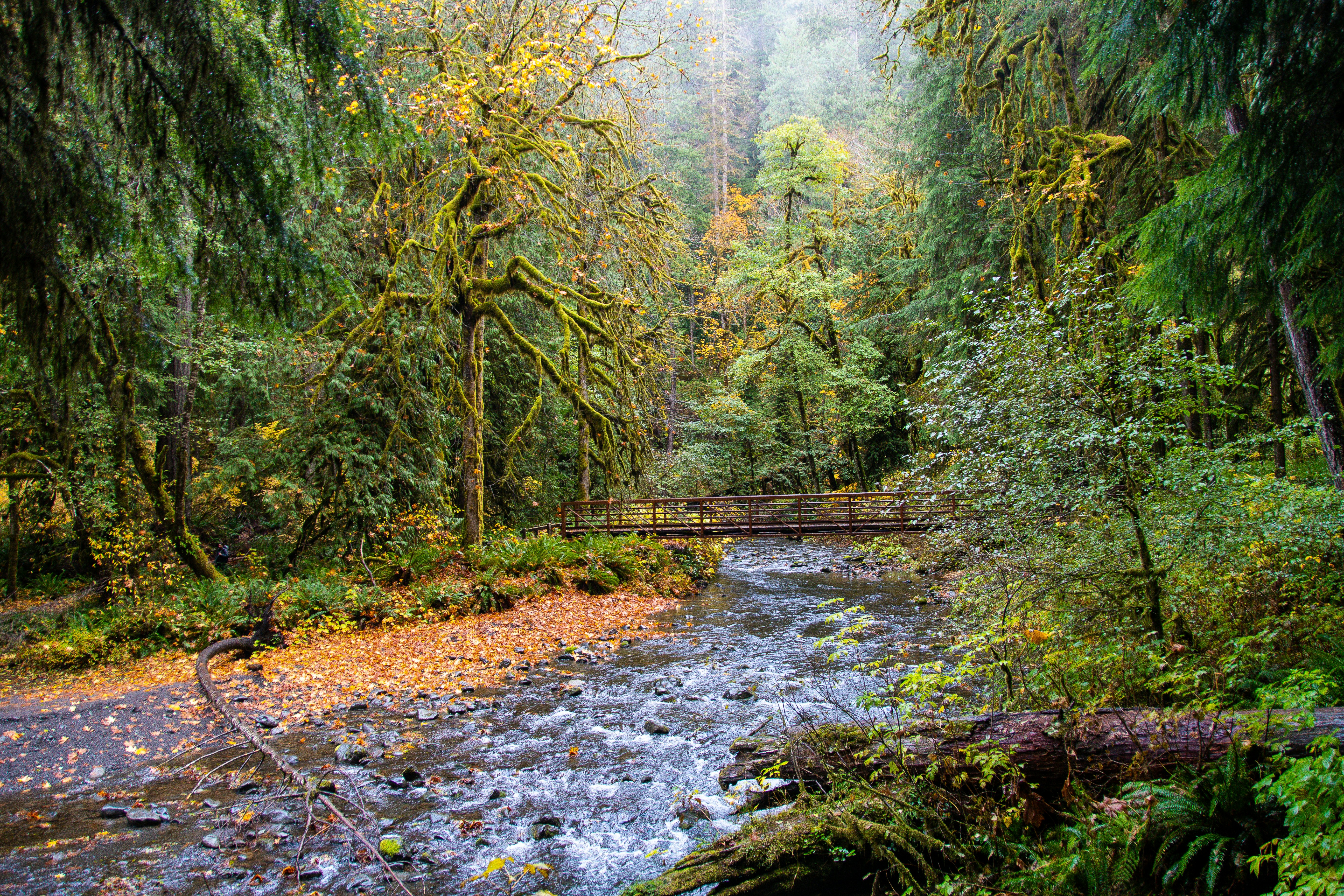 Photo by jackcharles