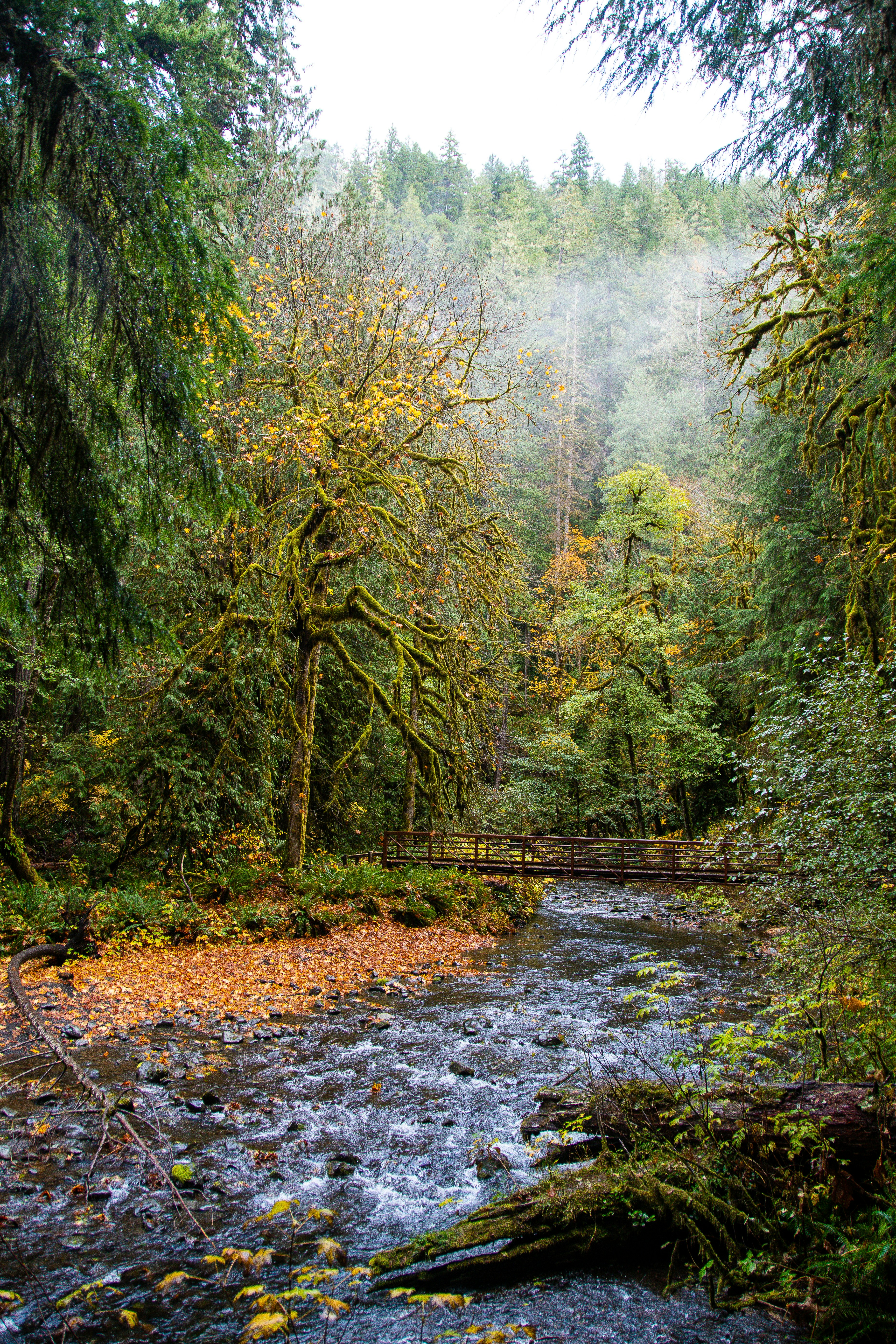 Photo by jackcharles