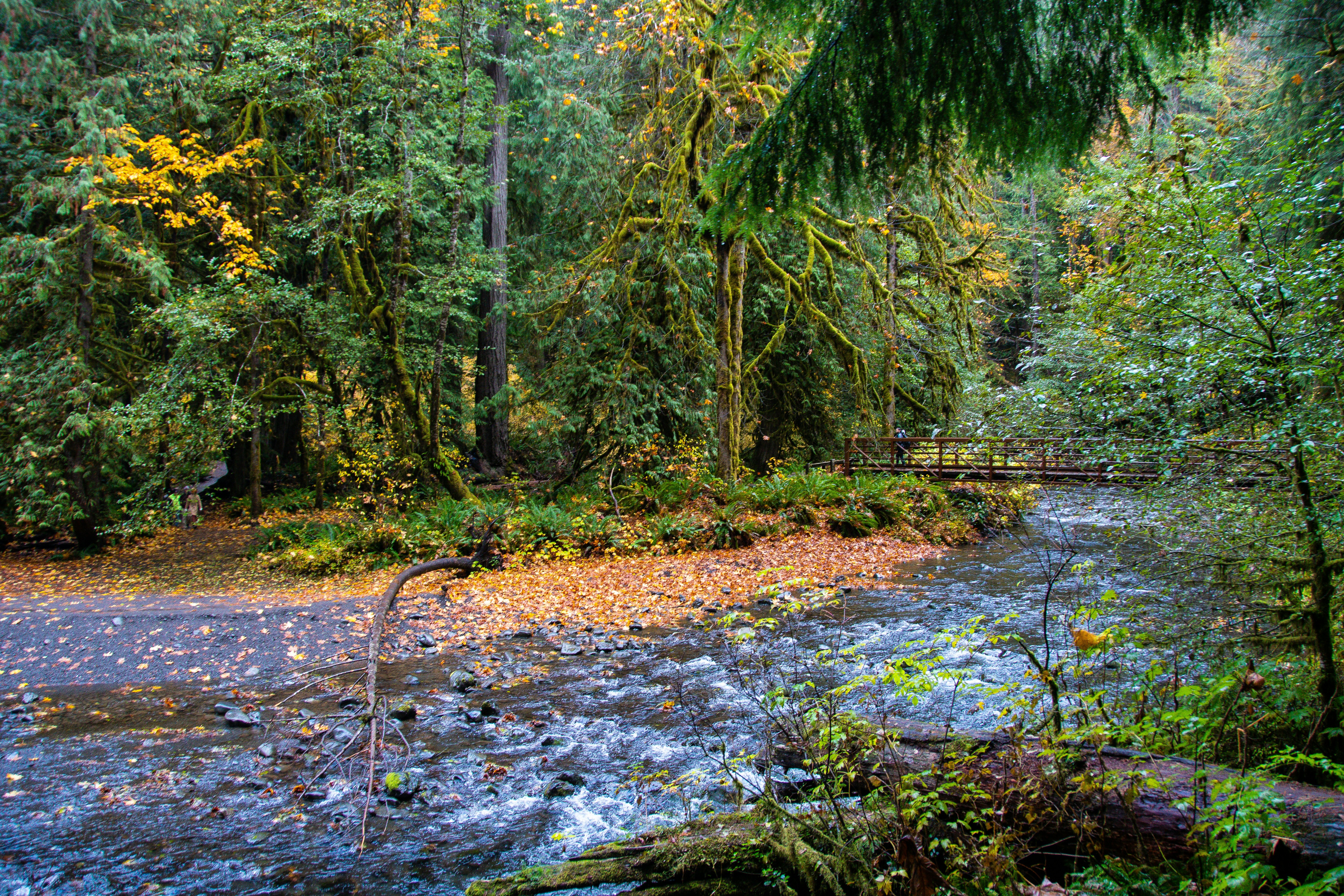 Photo by jackcharles