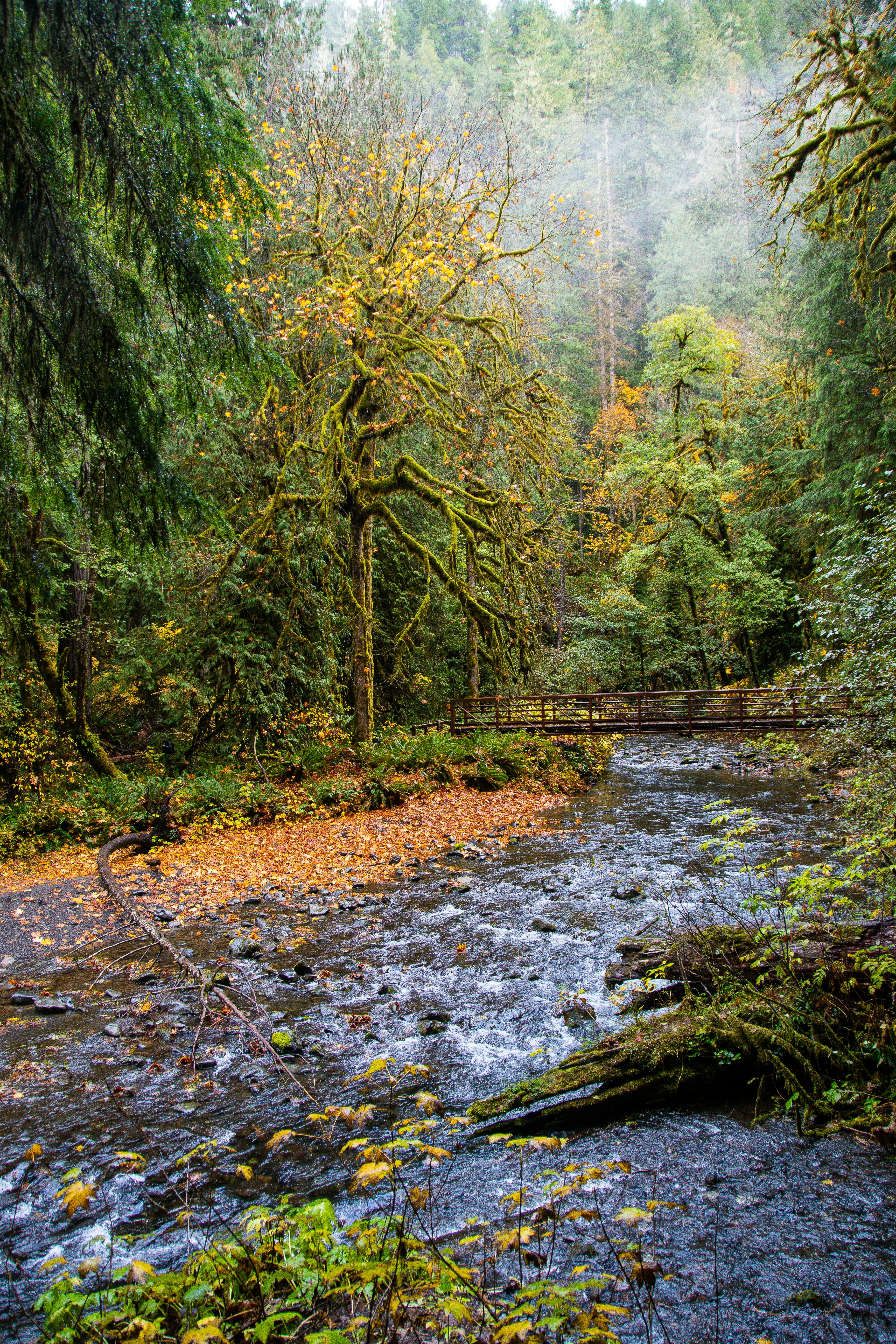 Photo by jackcharles