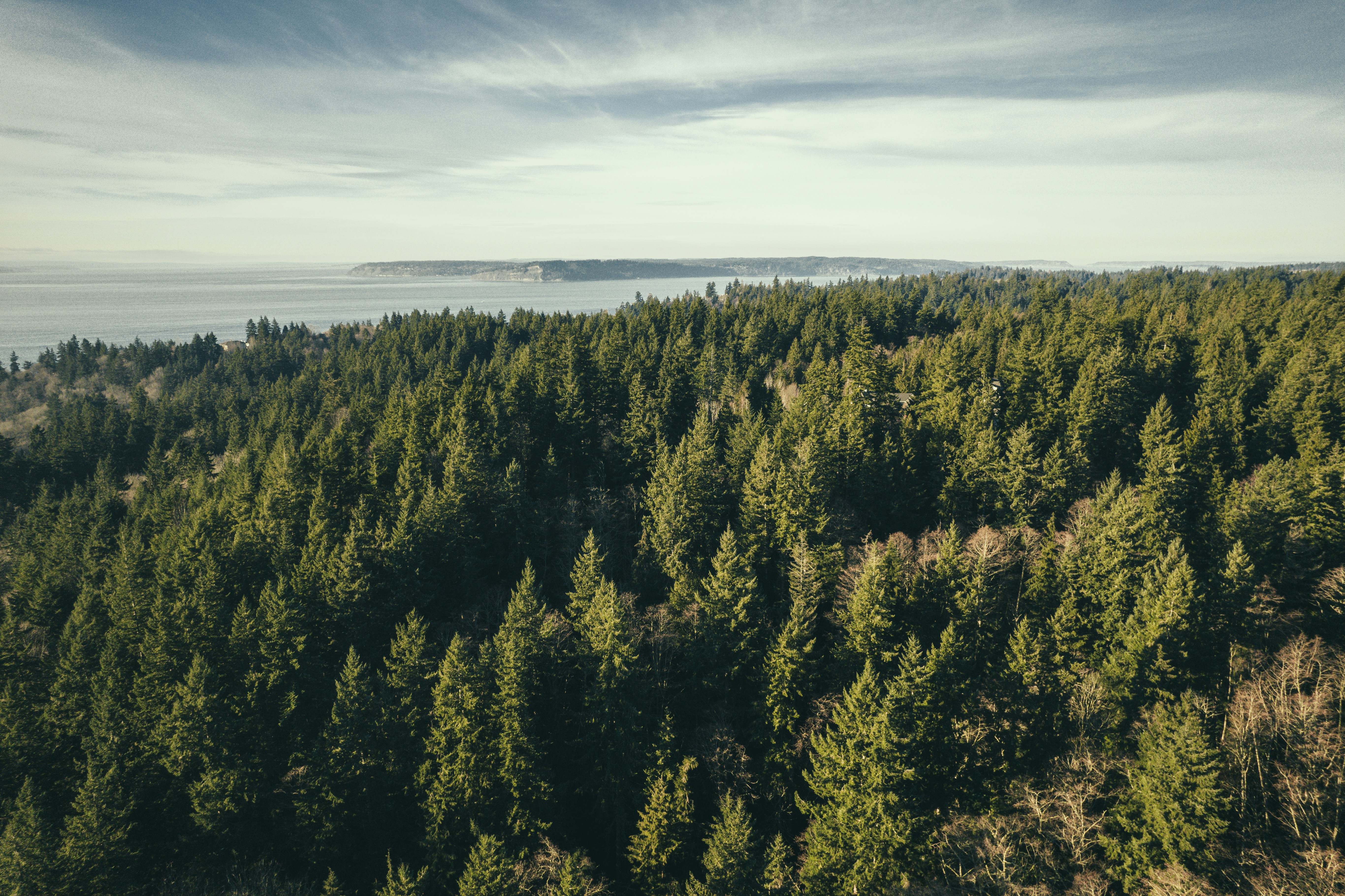 Photo by hiccupfromberk