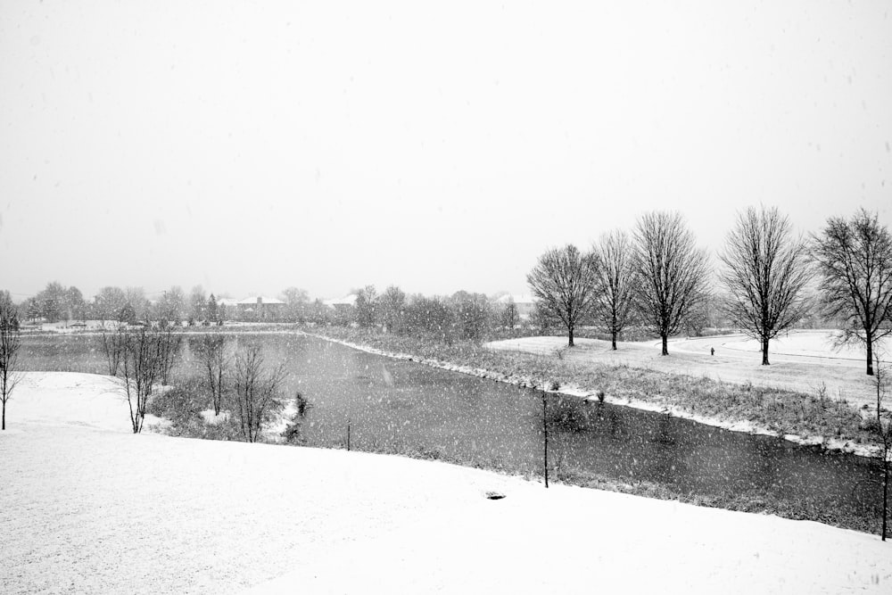 un paesaggio innevato con alberi e un fiume