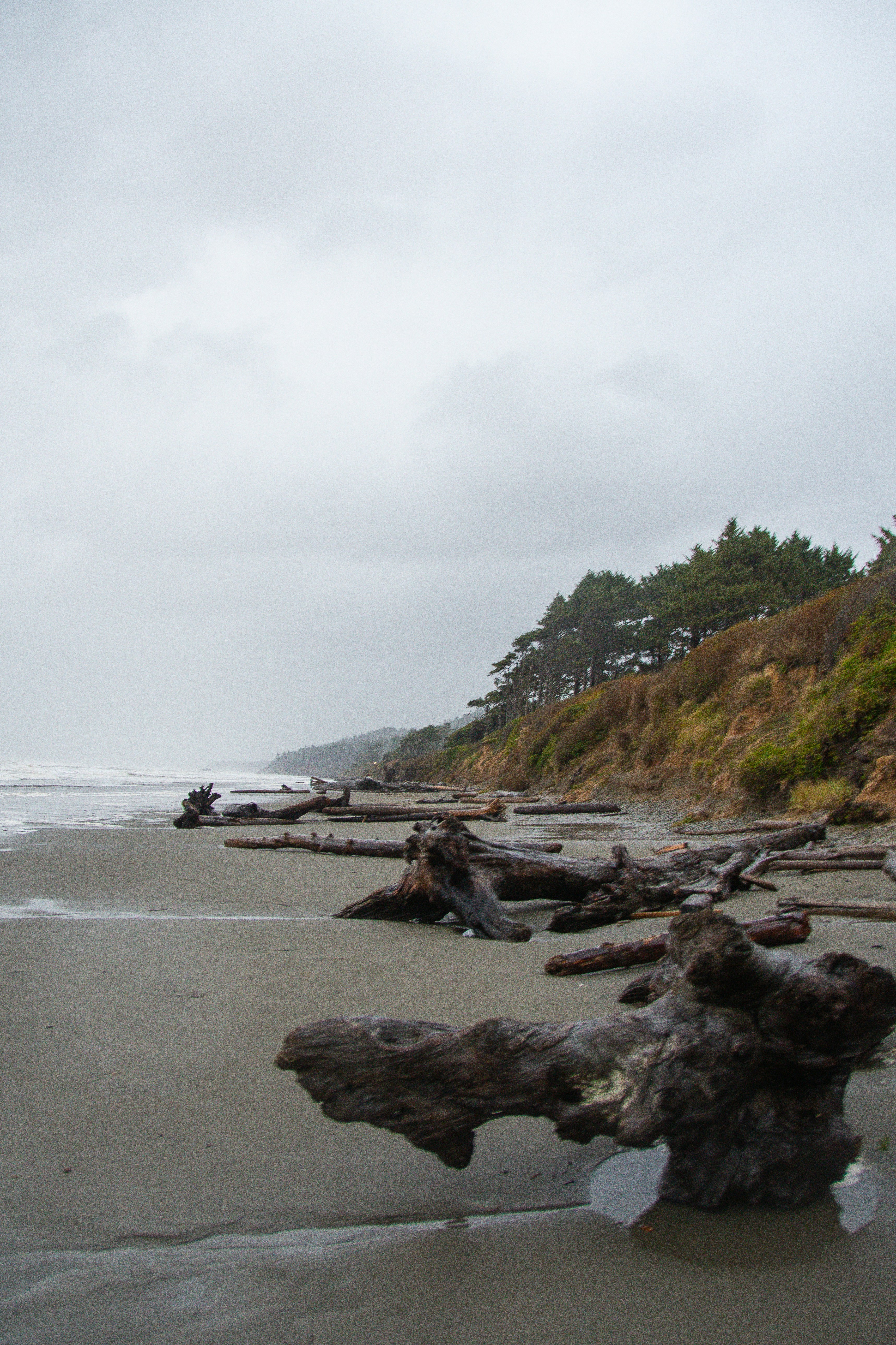 Photo by jackcharles