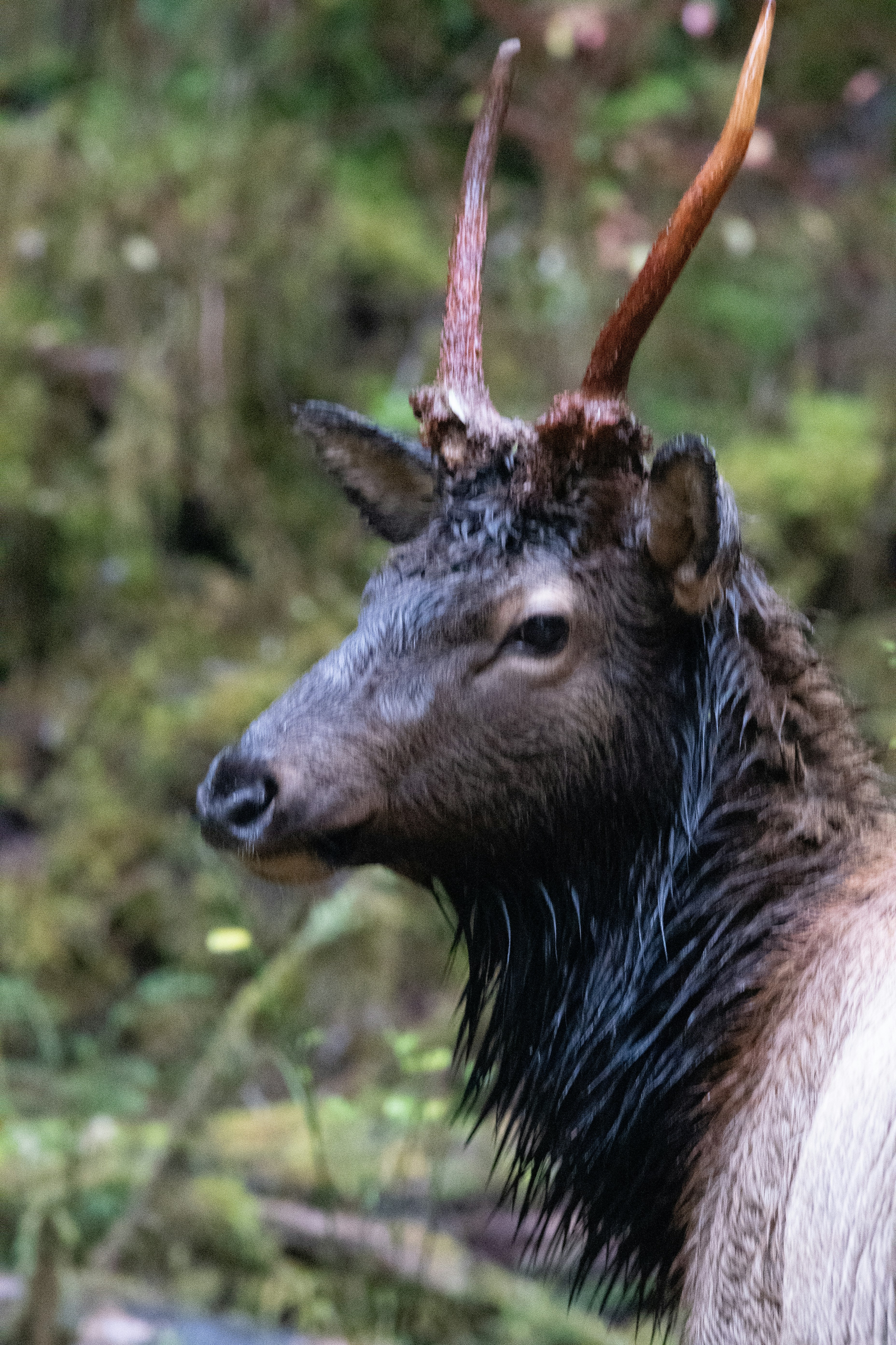 Photo by jackcharles