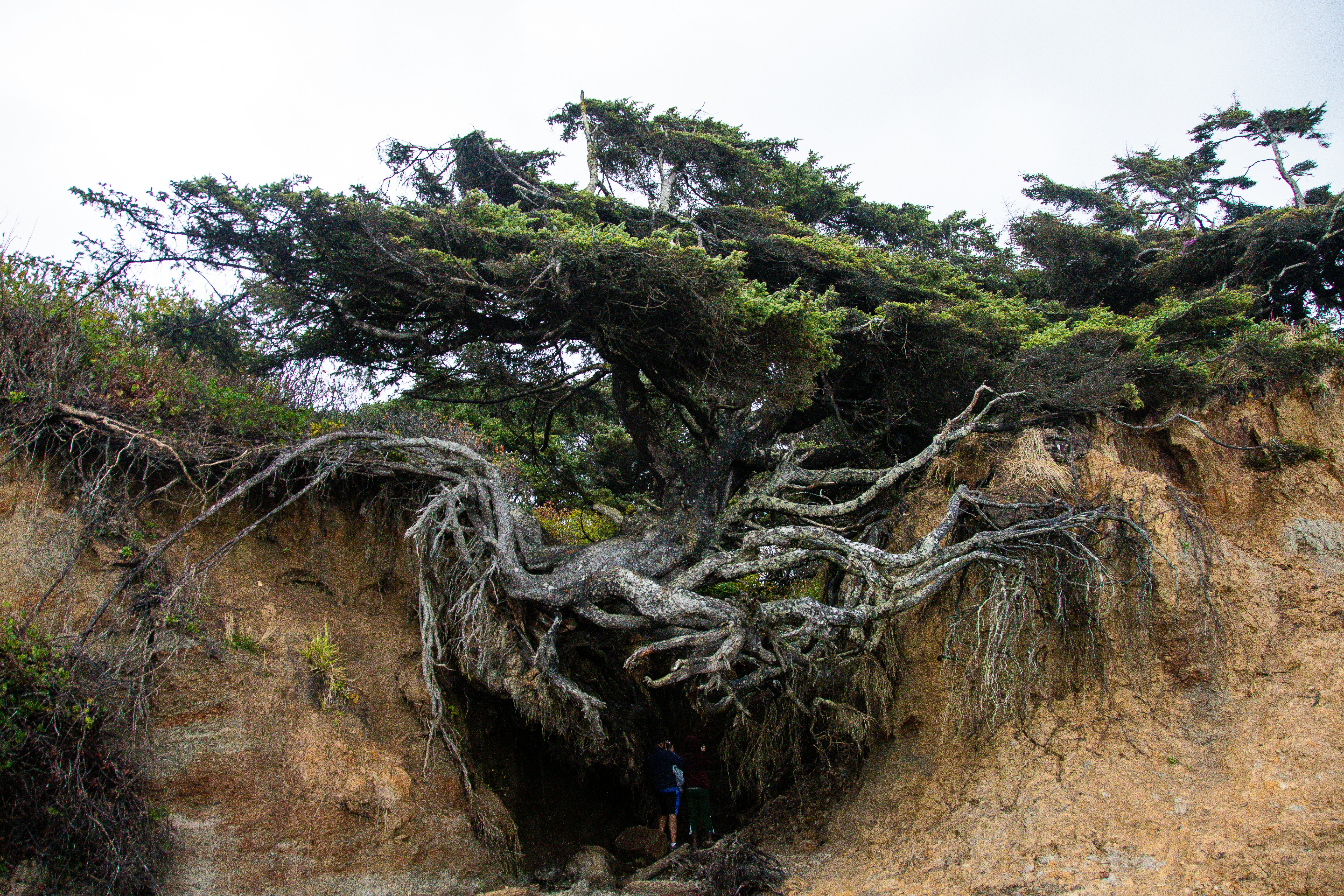 Photo by jackcharles