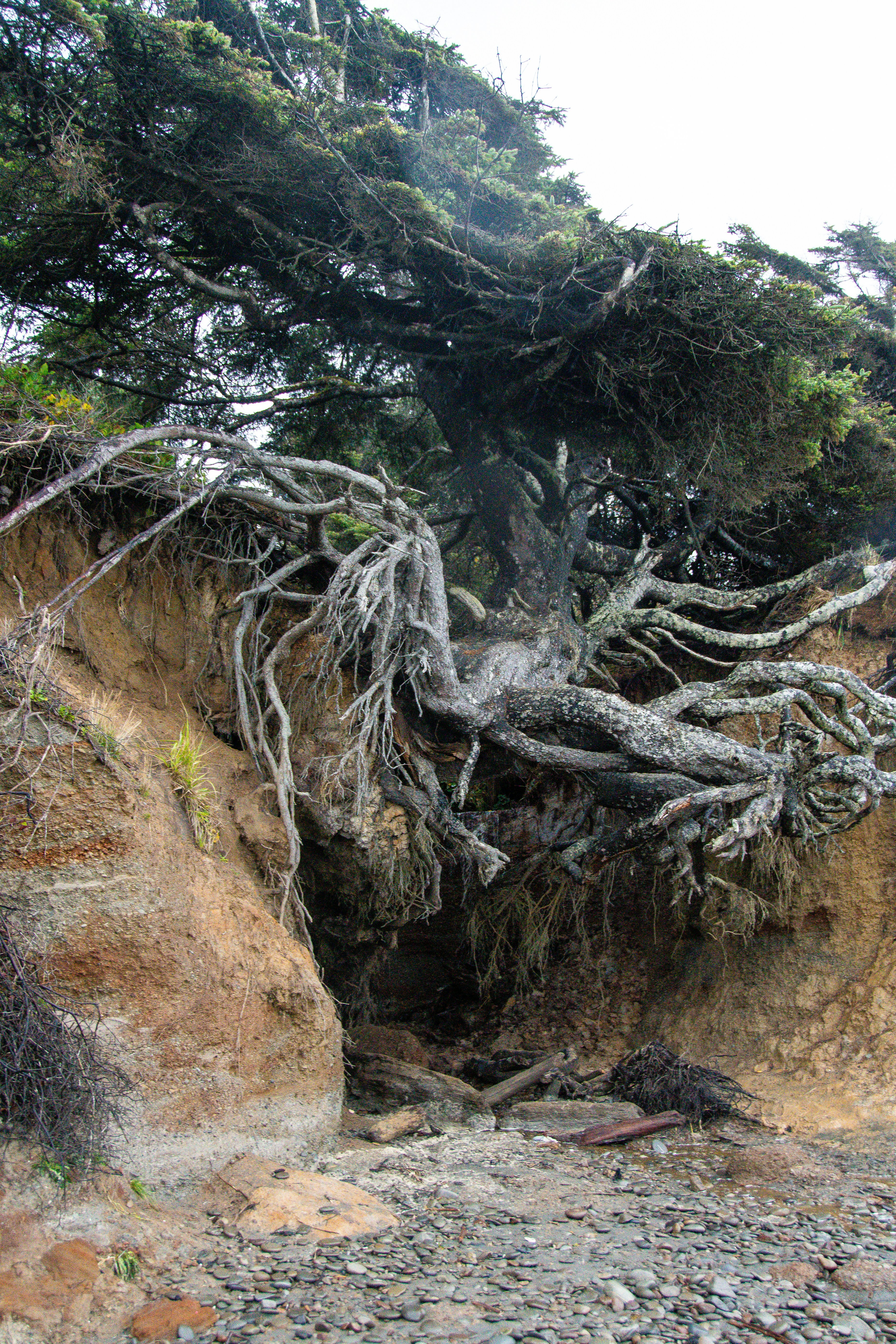 Photo by jackcharles