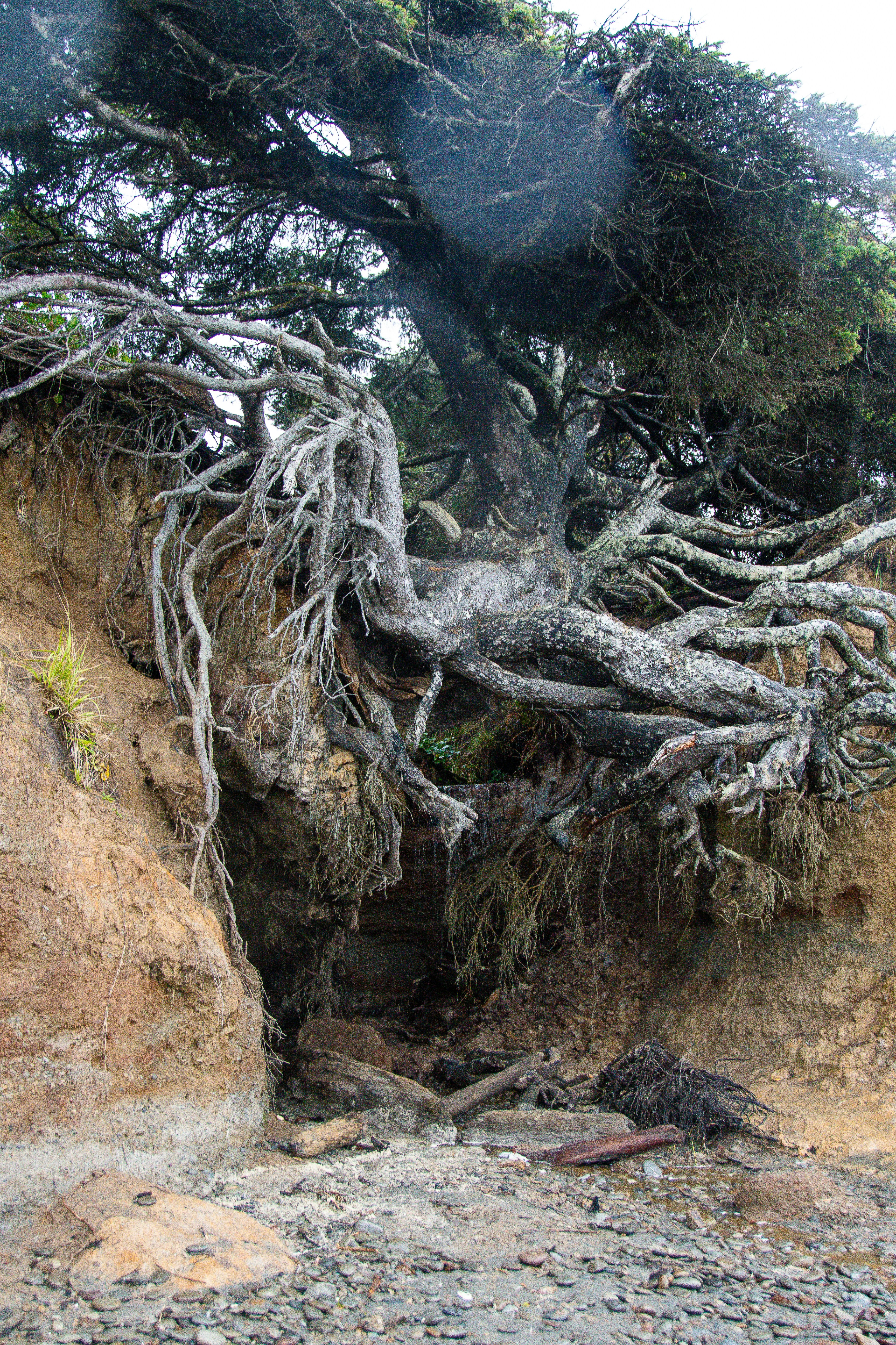 How Underground Networks Survive the Flames (image credits: unsplash)