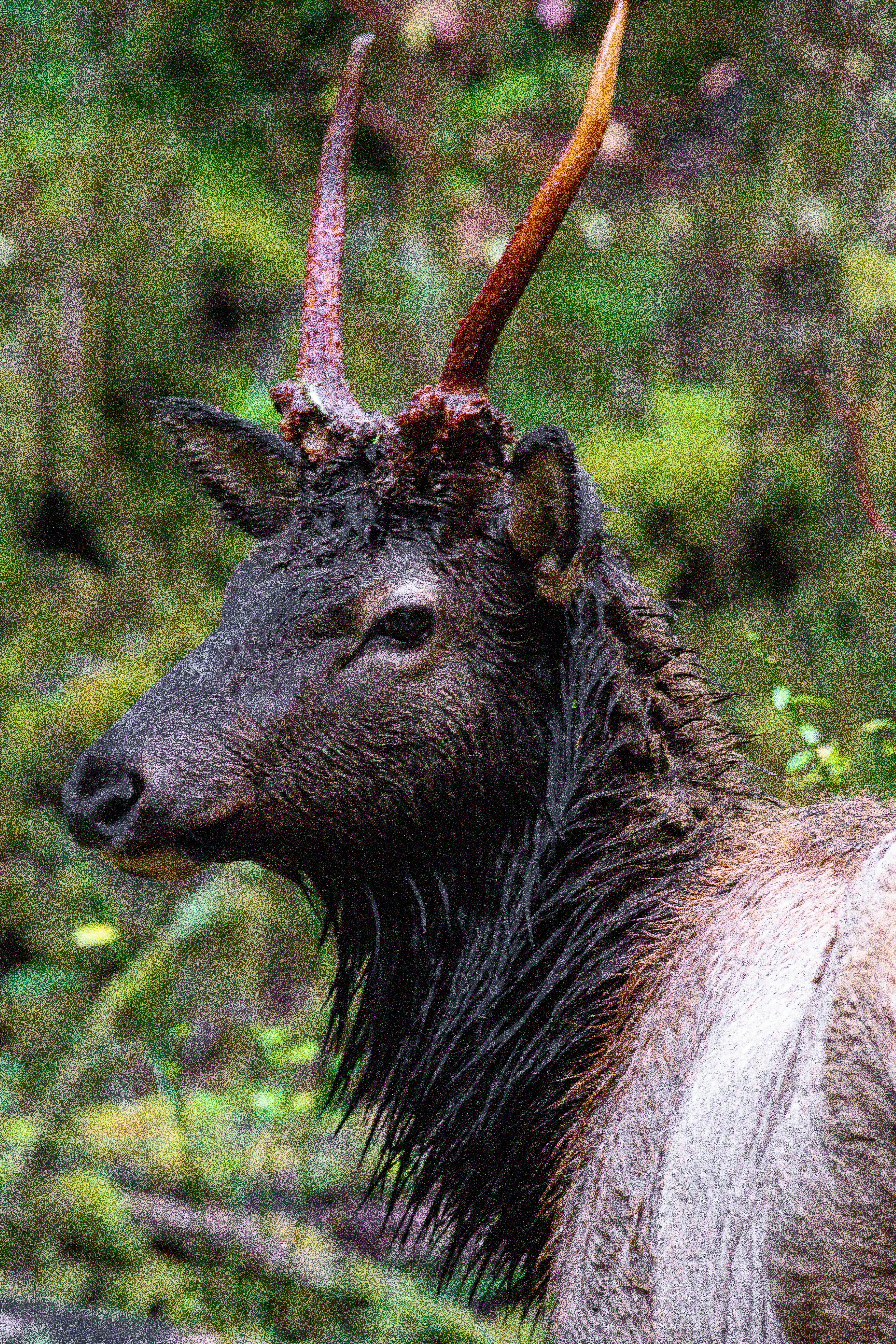 Photo by jackcharles