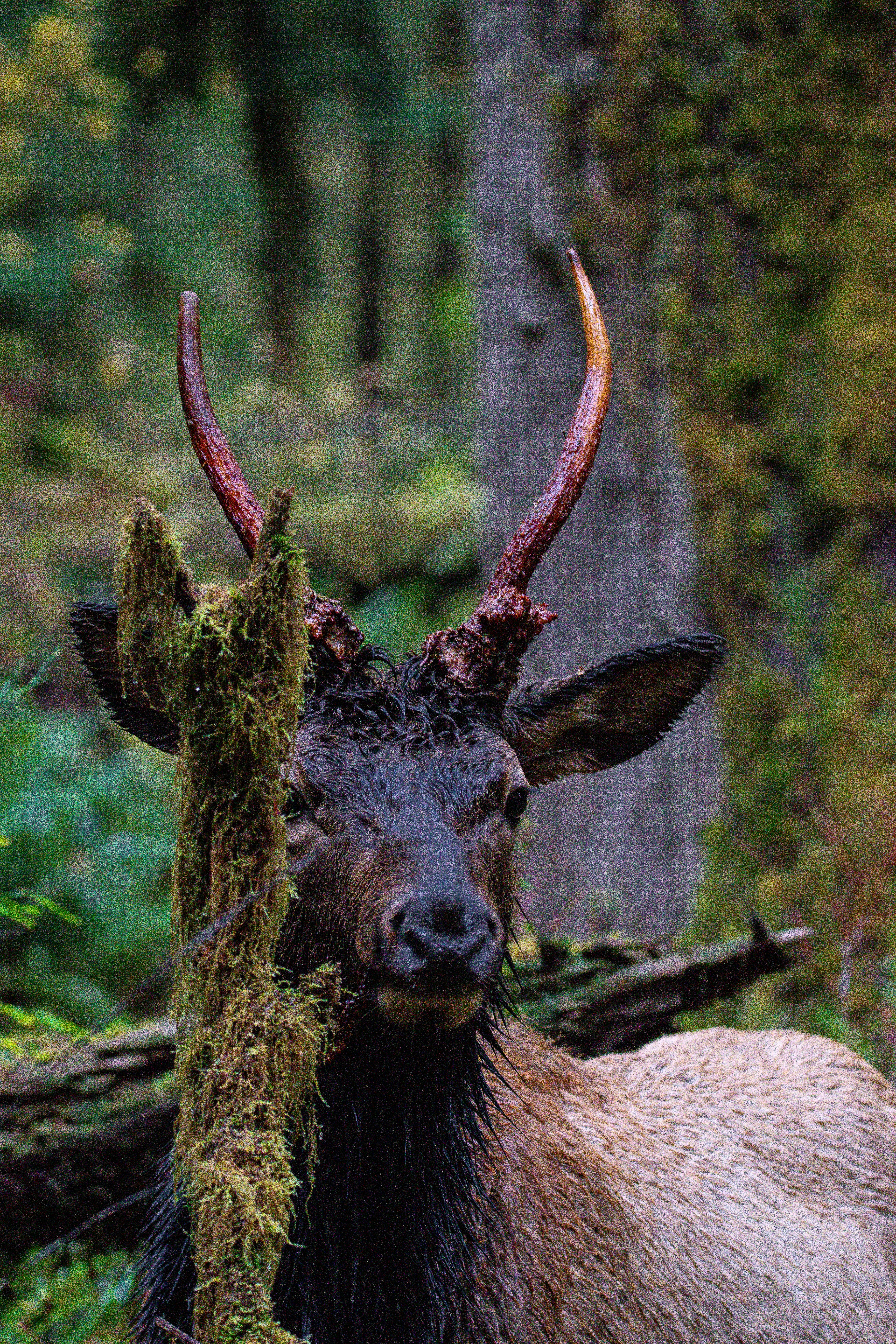 Photo by jackcharles