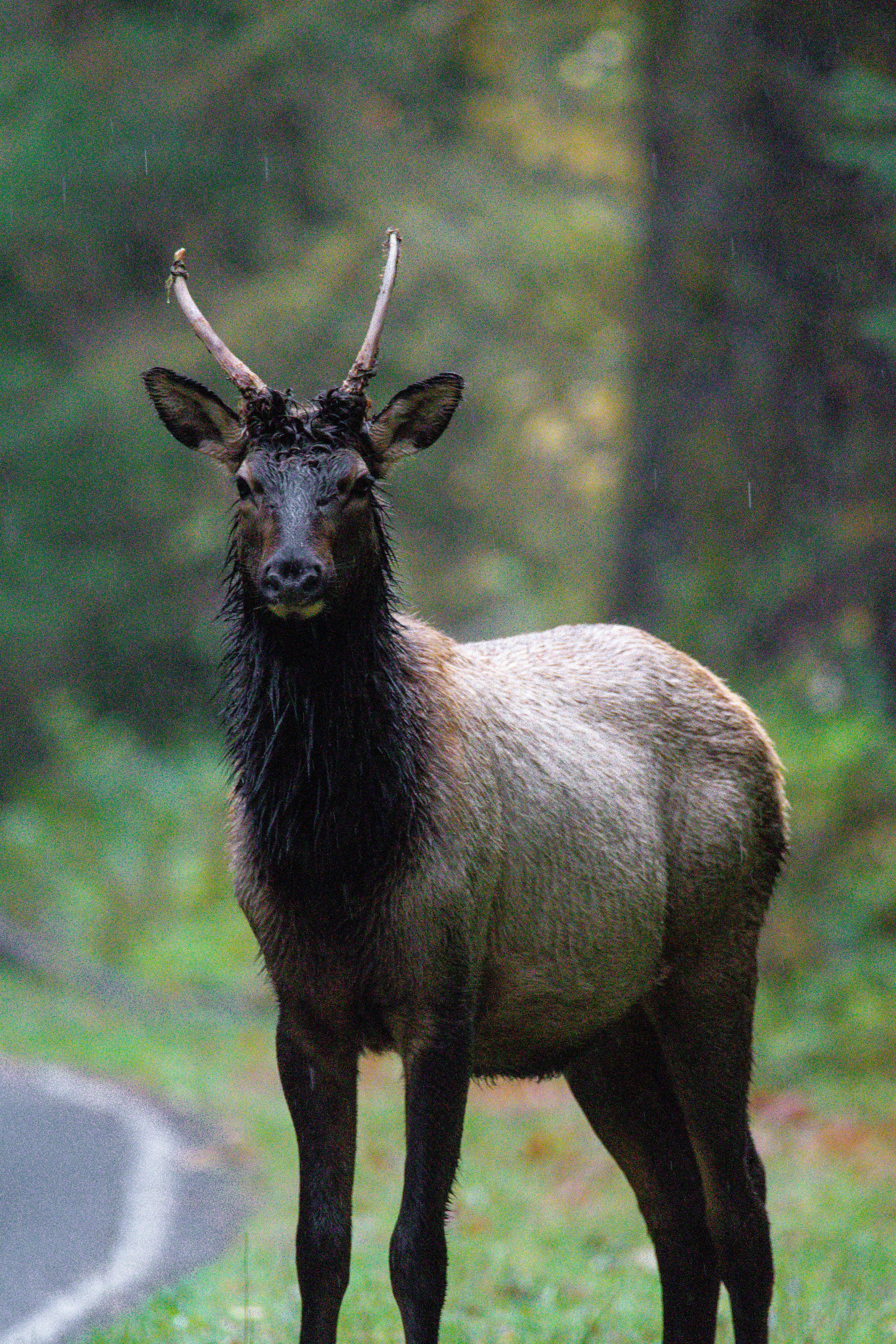 Photo by jackcharles