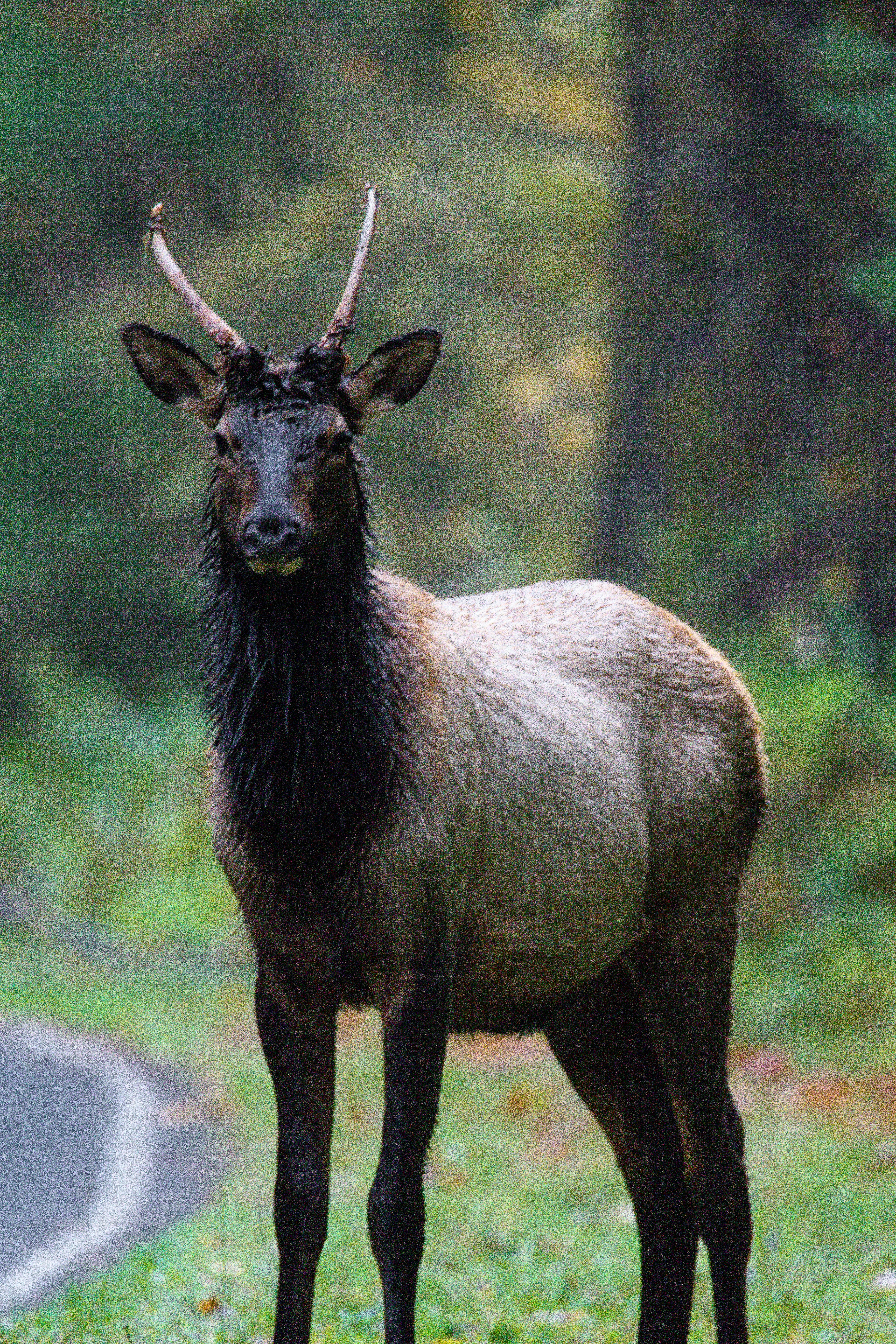 Photo by jackcharles