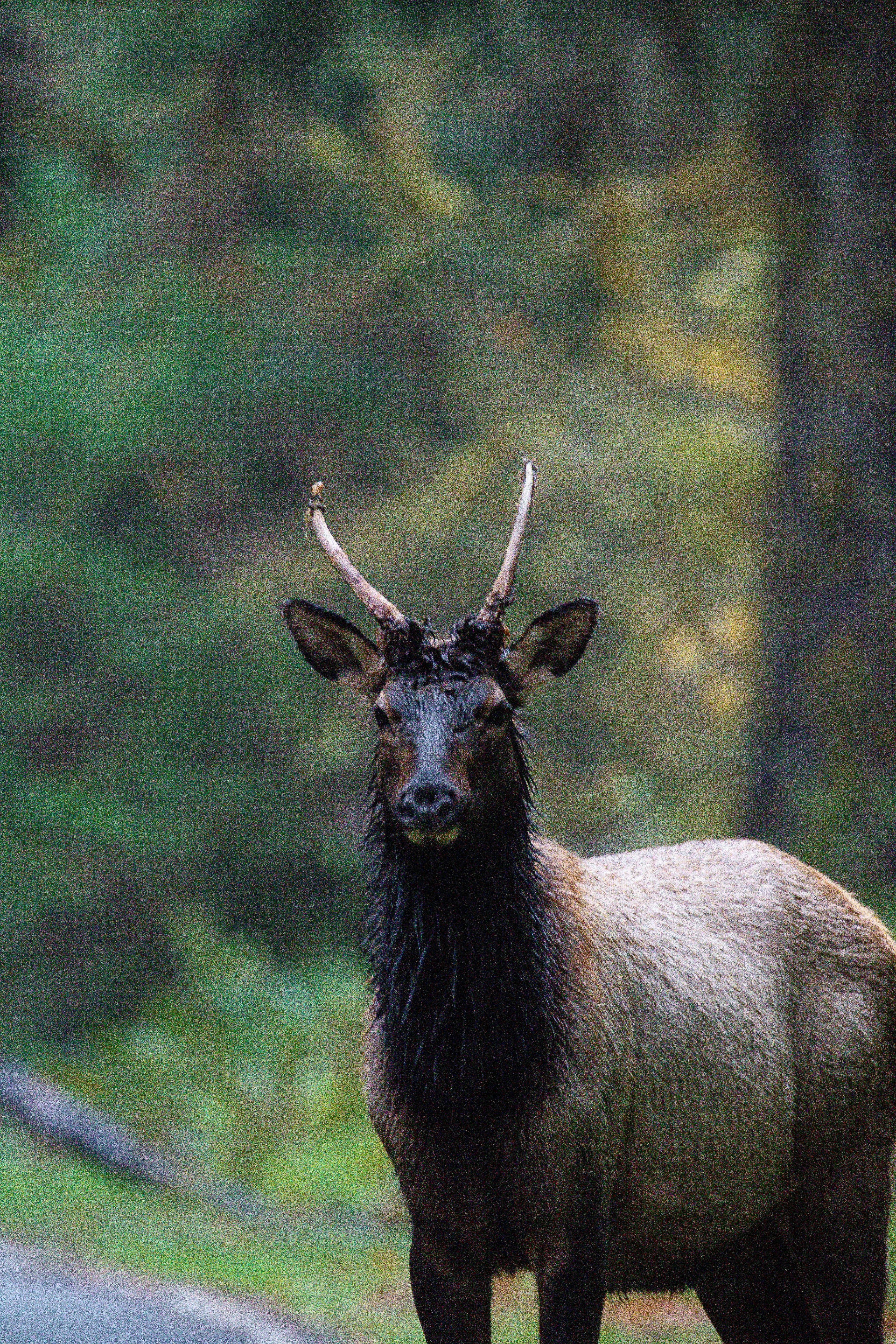 Photo by jackcharles