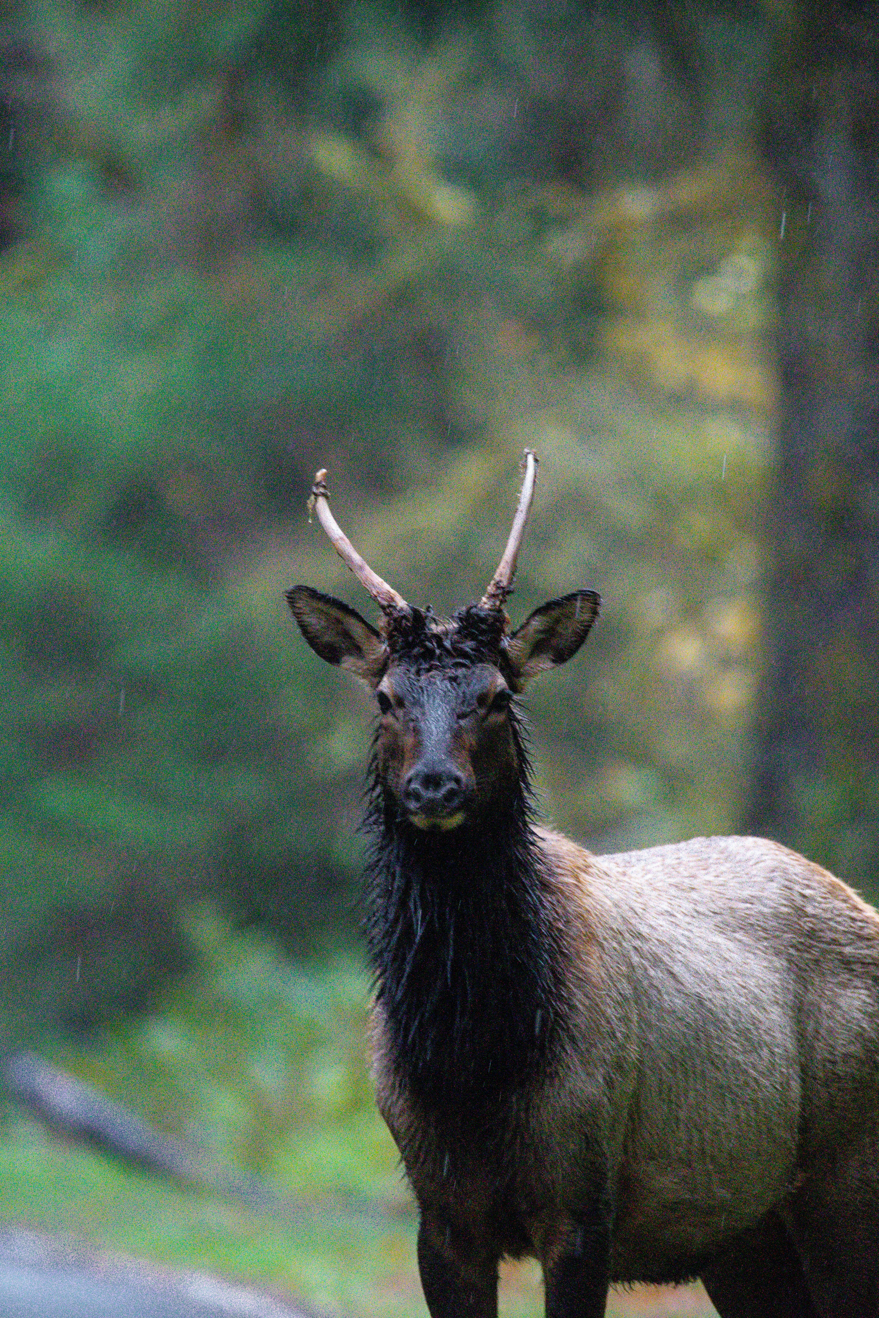 Photo by jackcharles