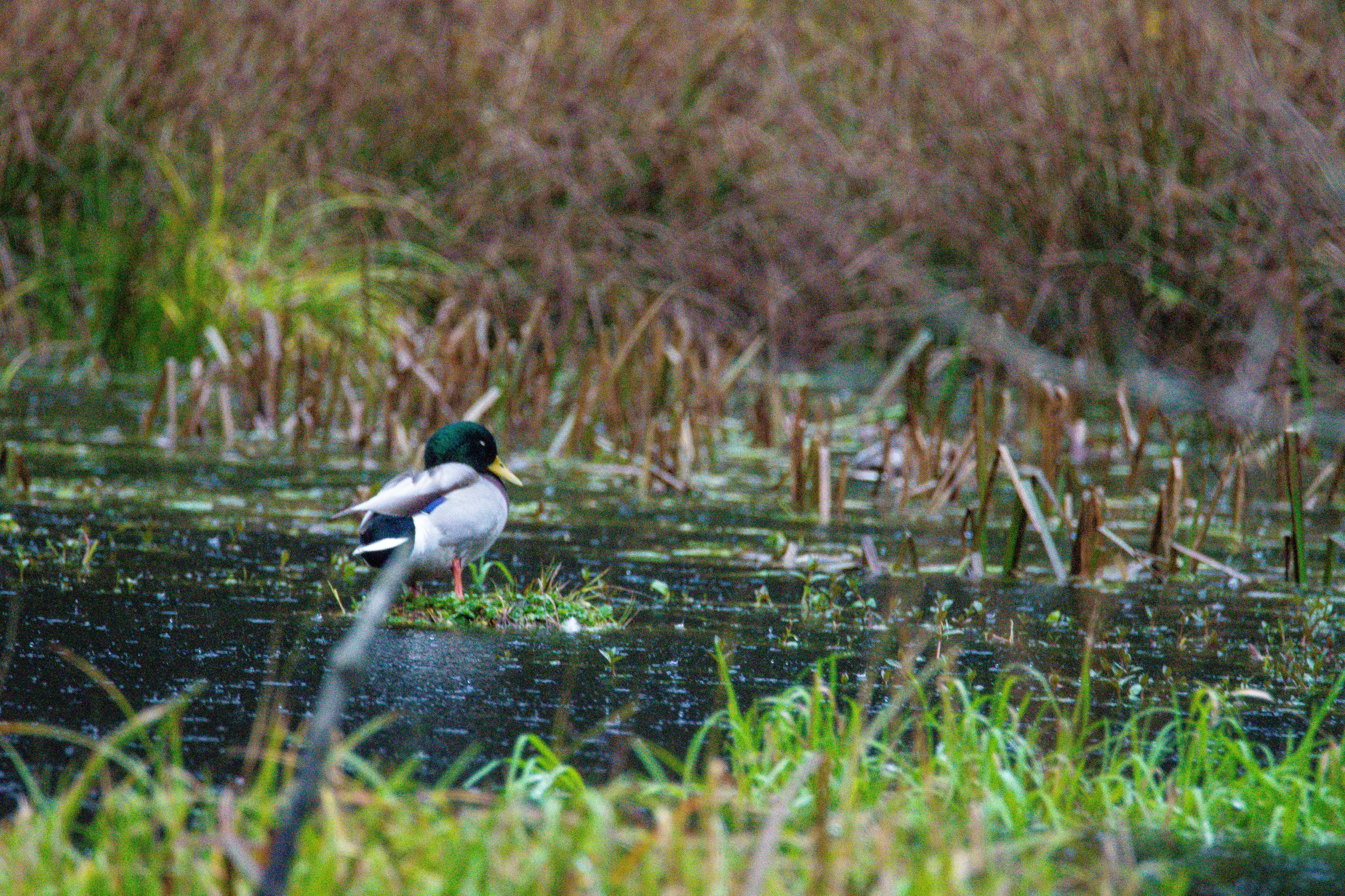 Photo by jackcharles