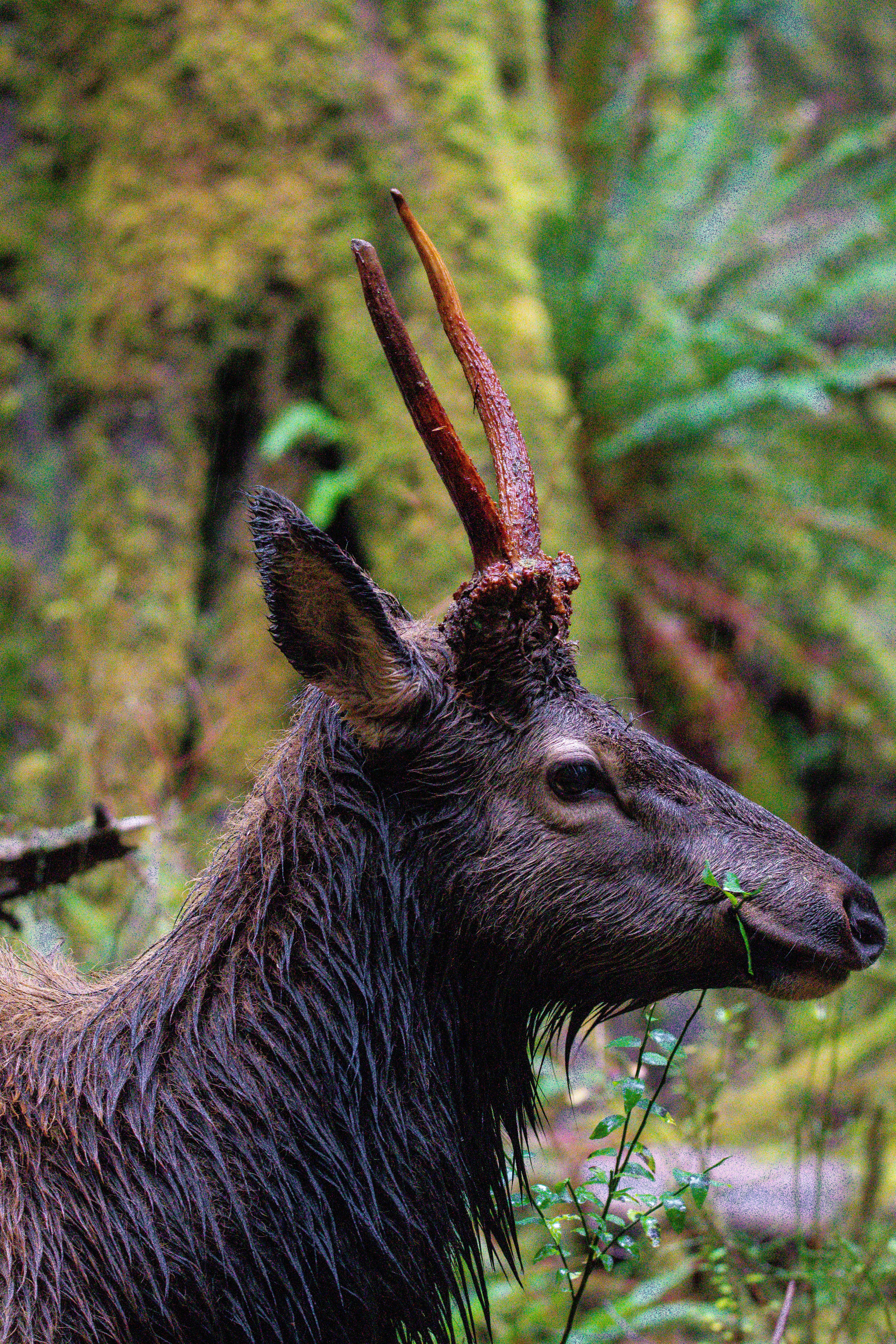 Photo by jackcharles