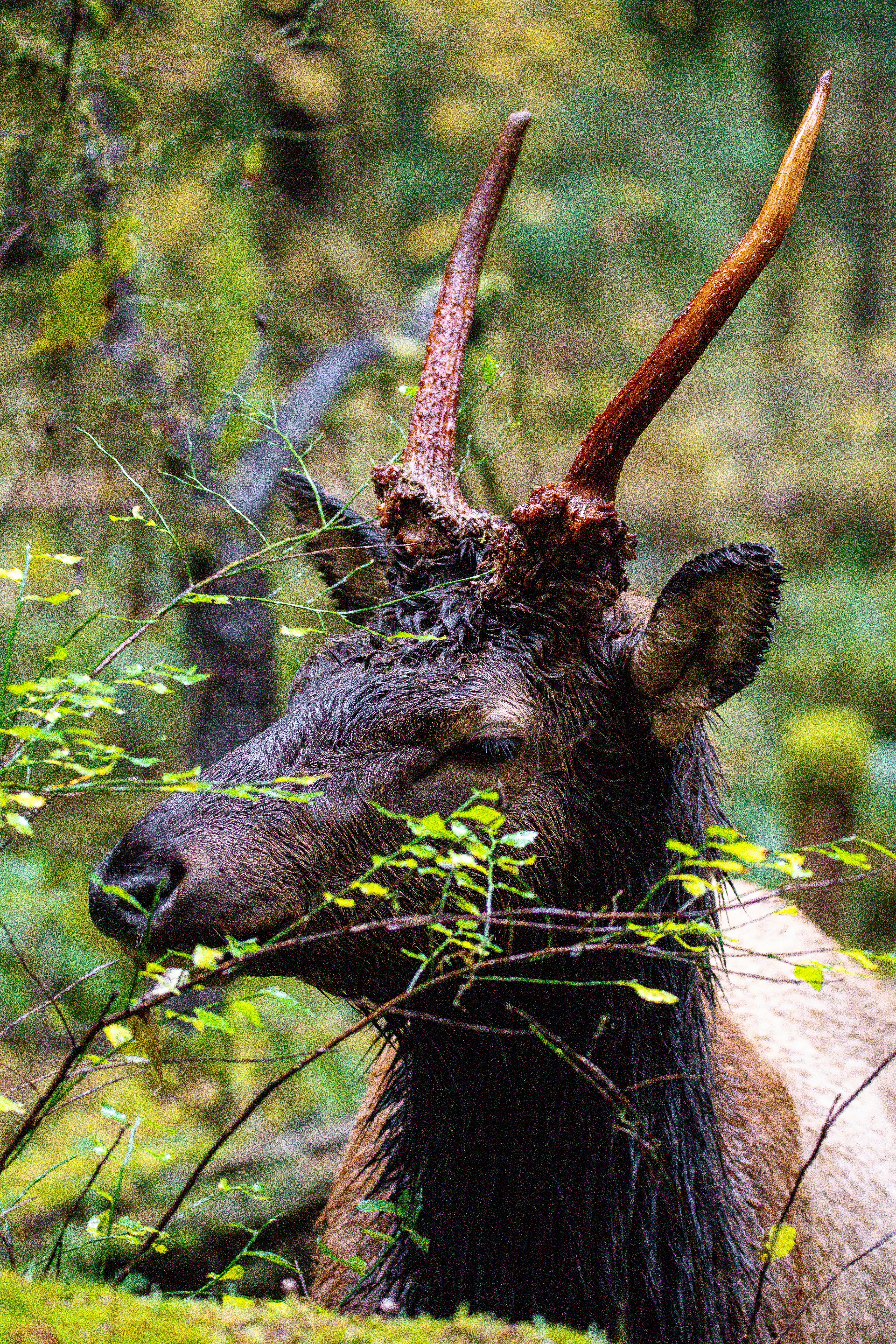 Photo by jackcharles