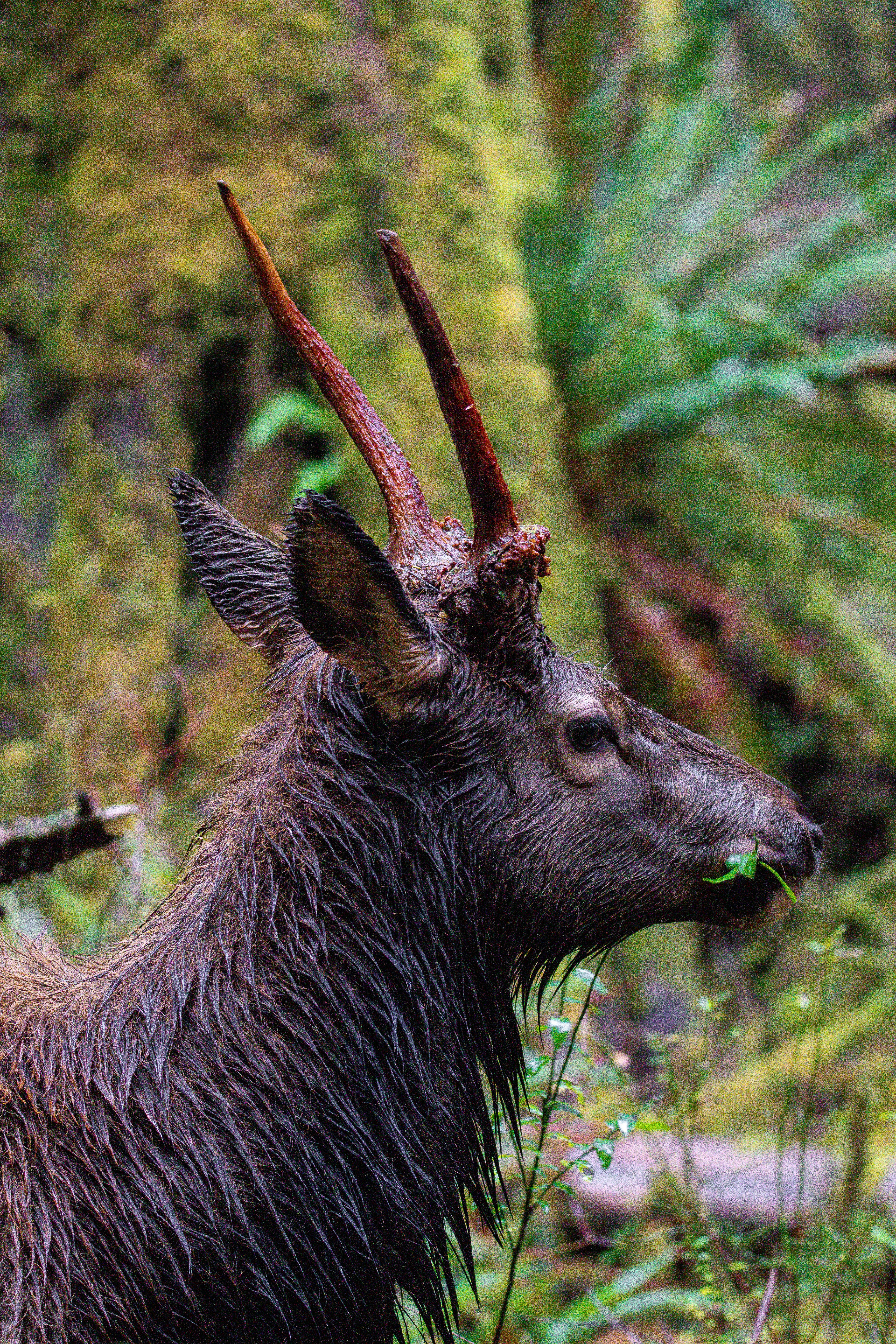 Photo by jackcharles