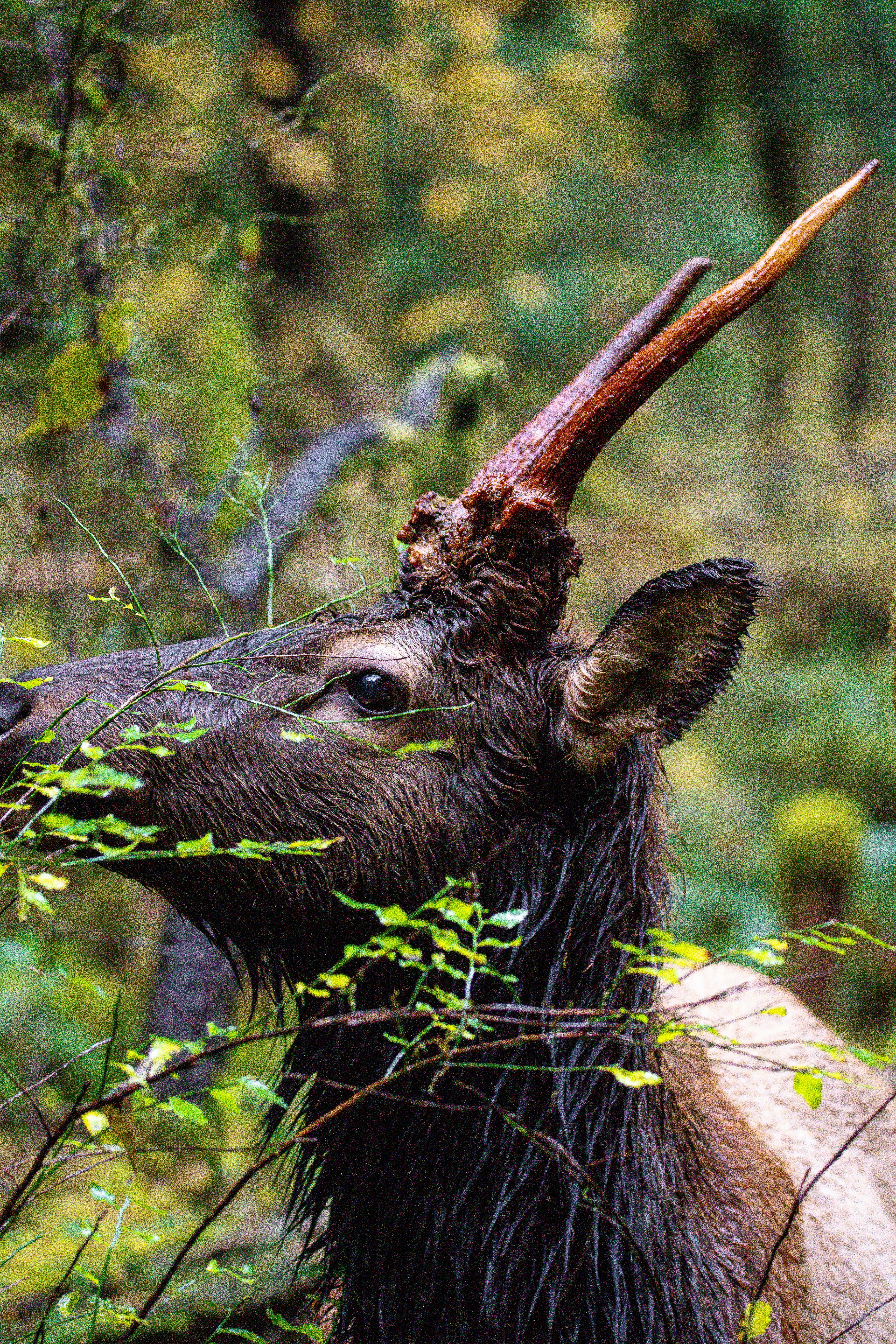 Photo by jackcharles