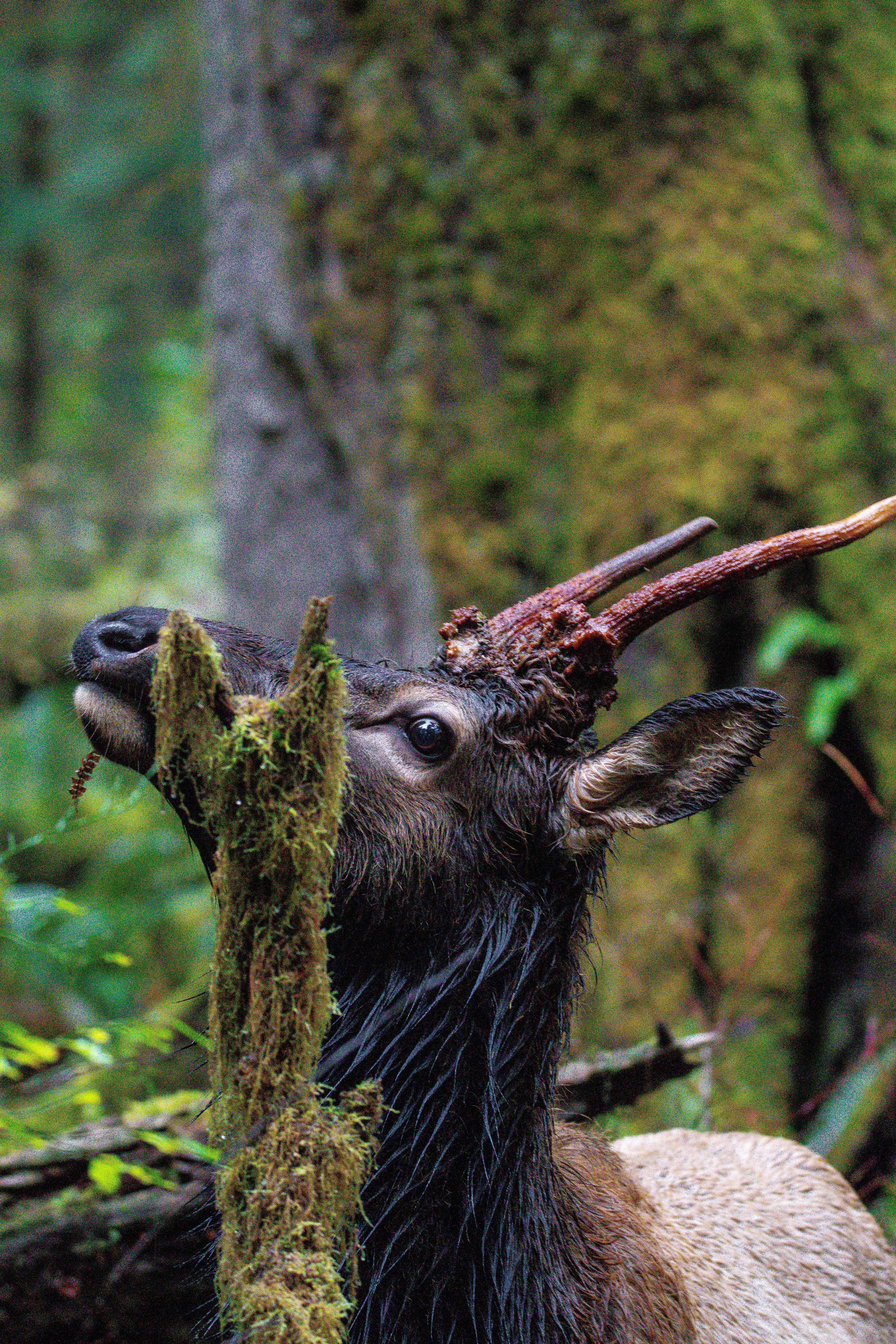 Photo by jackcharles