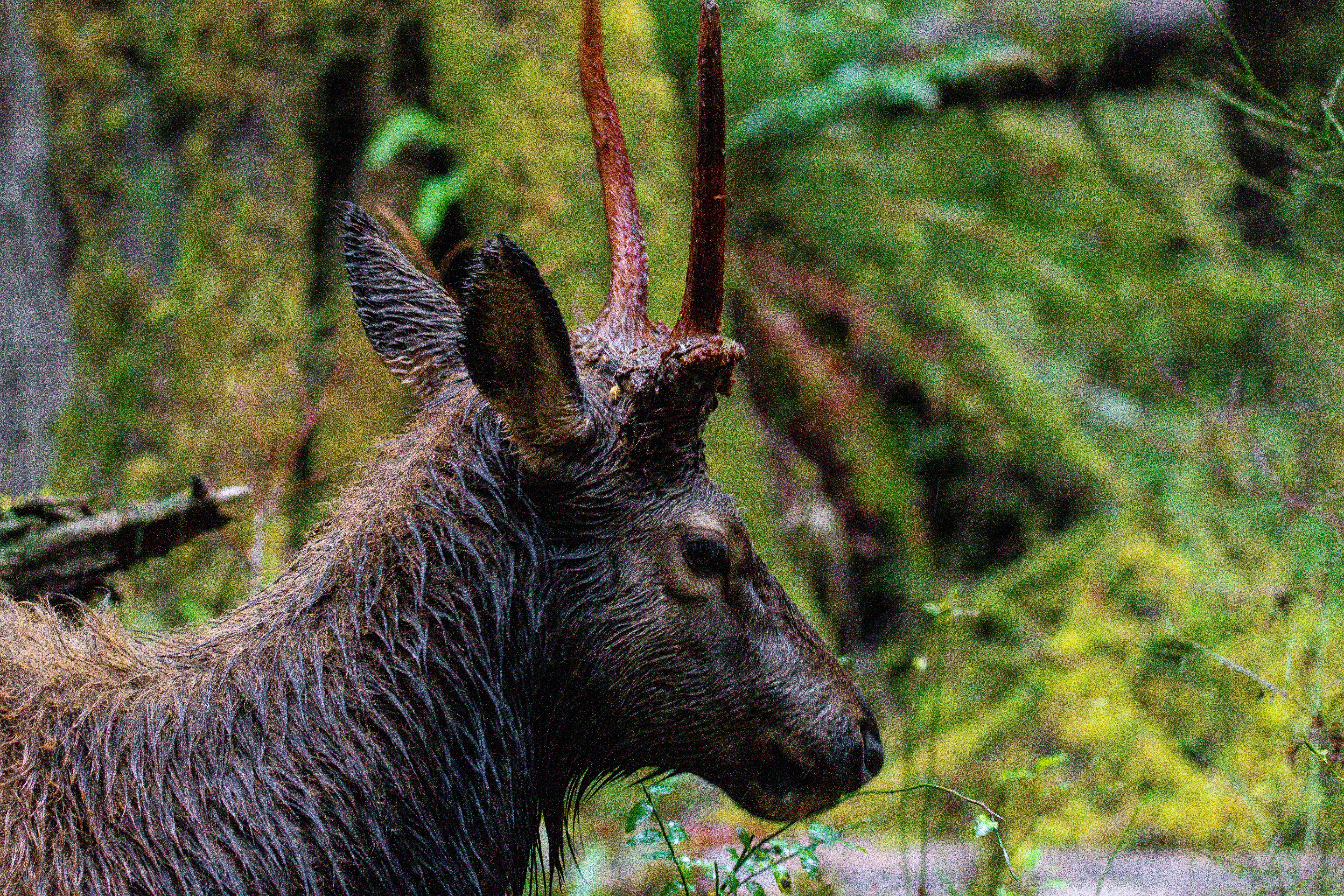 Photo by jackcharles