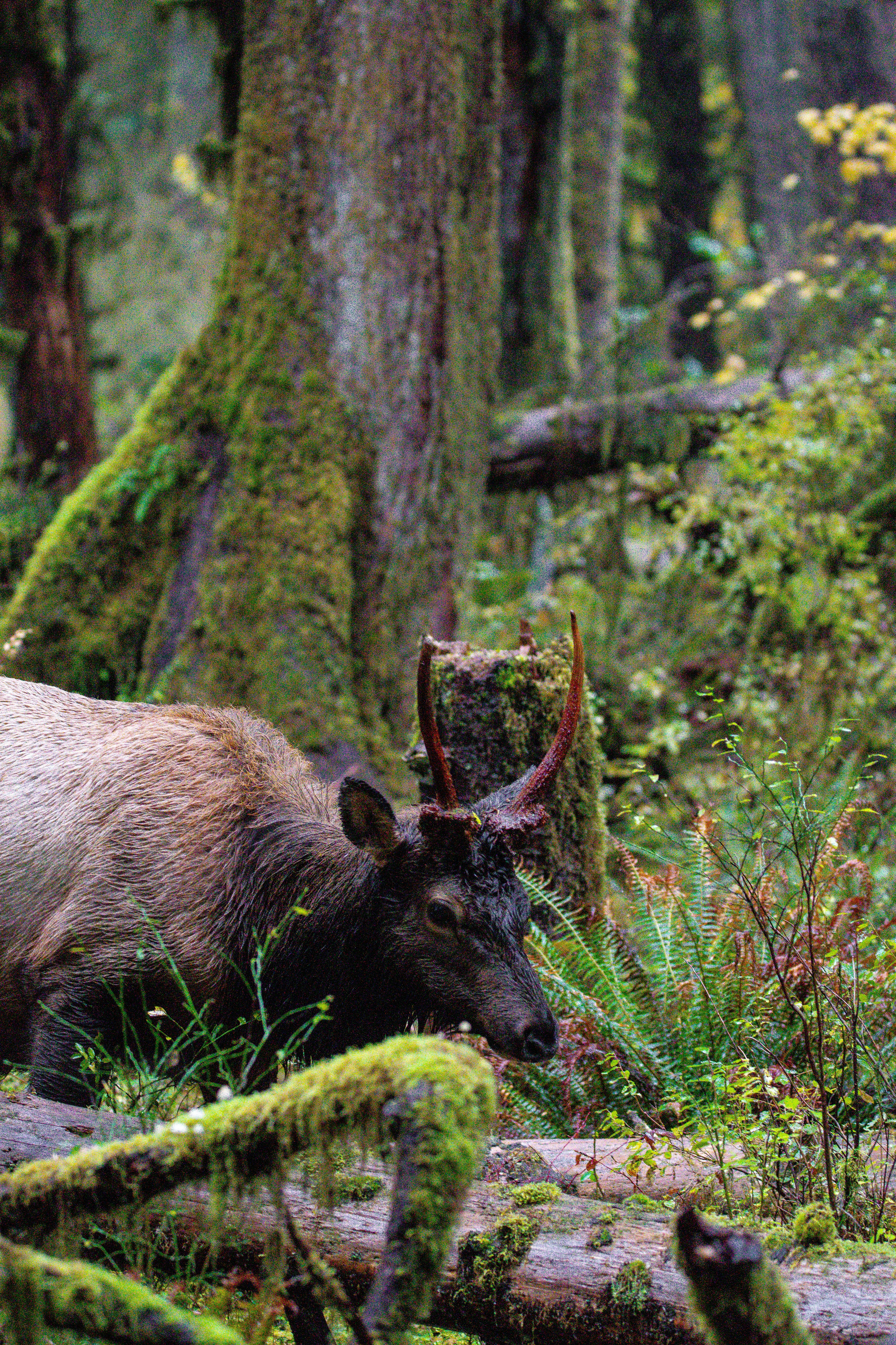 Photo by jackcharles