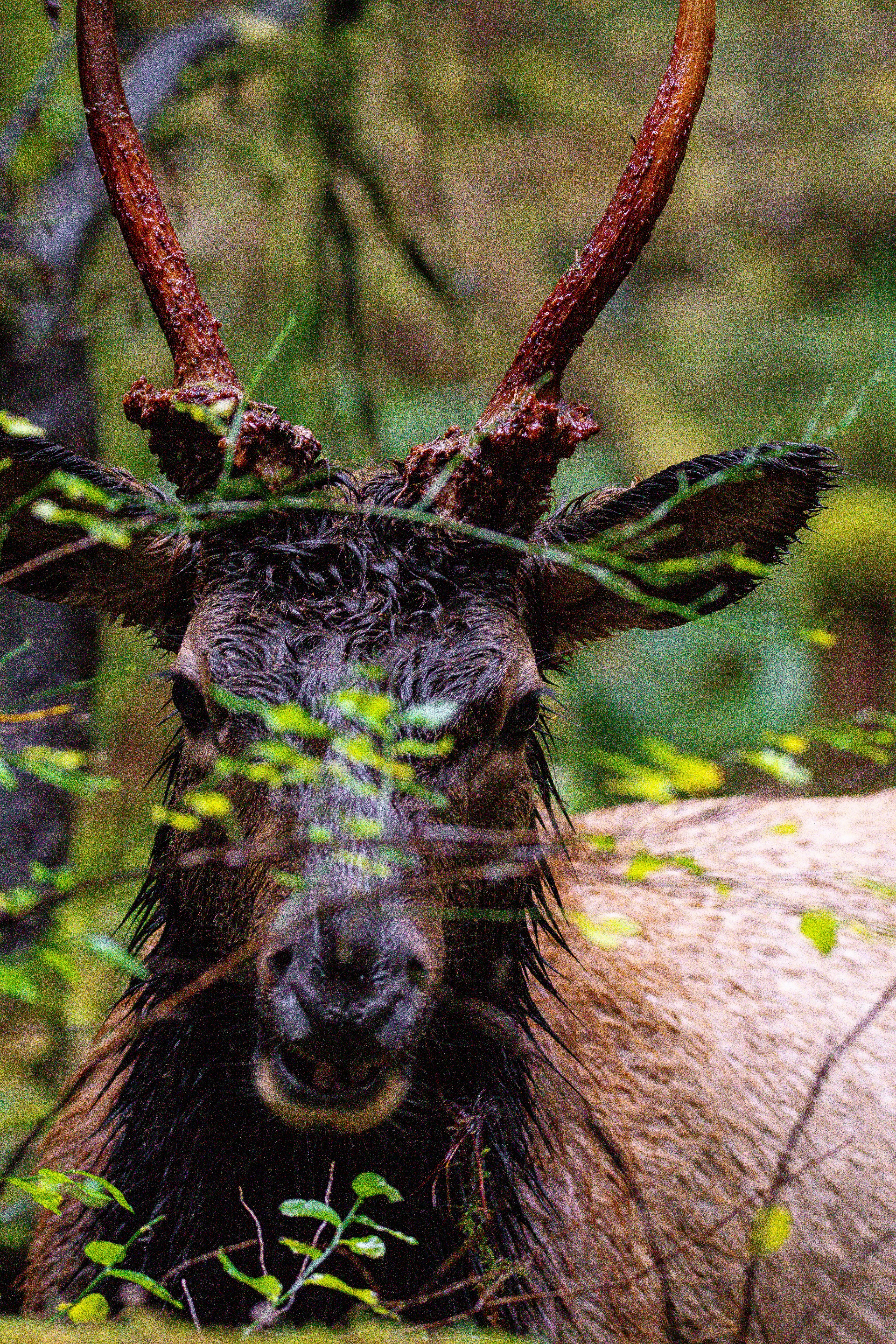 Photo by jackcharles