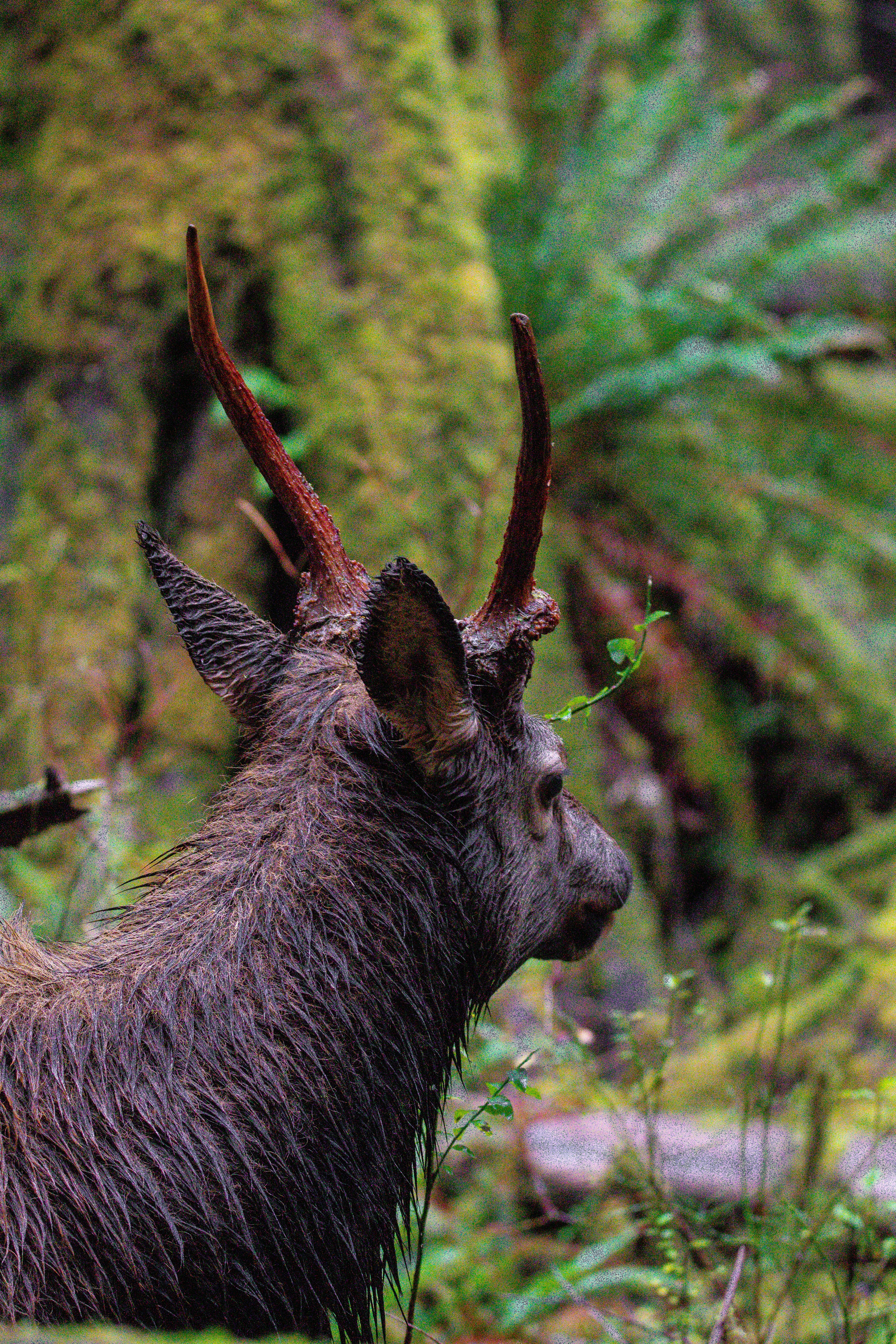 Photo by jackcharles