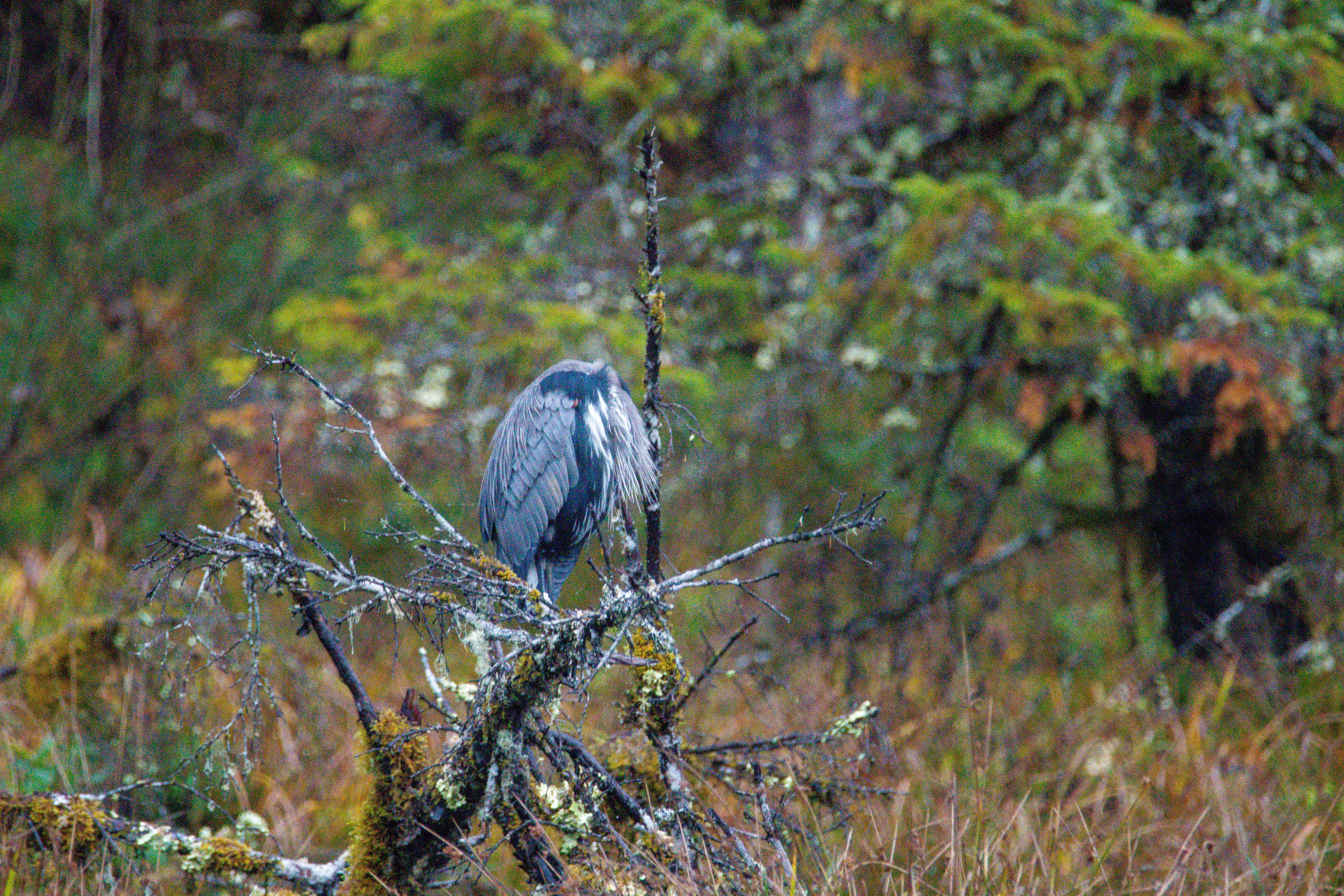 Photo by jackcharles