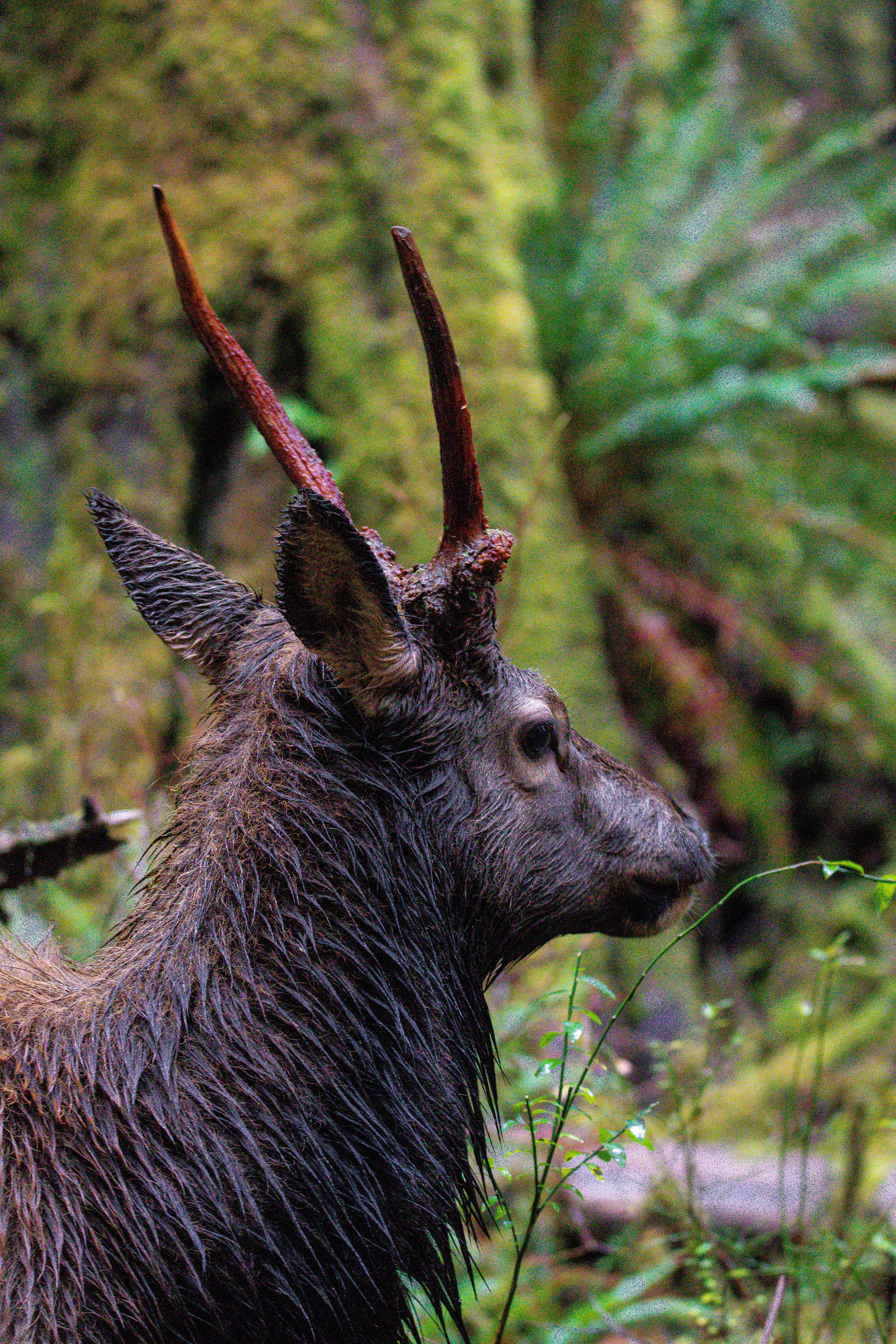 Photo by jackcharles