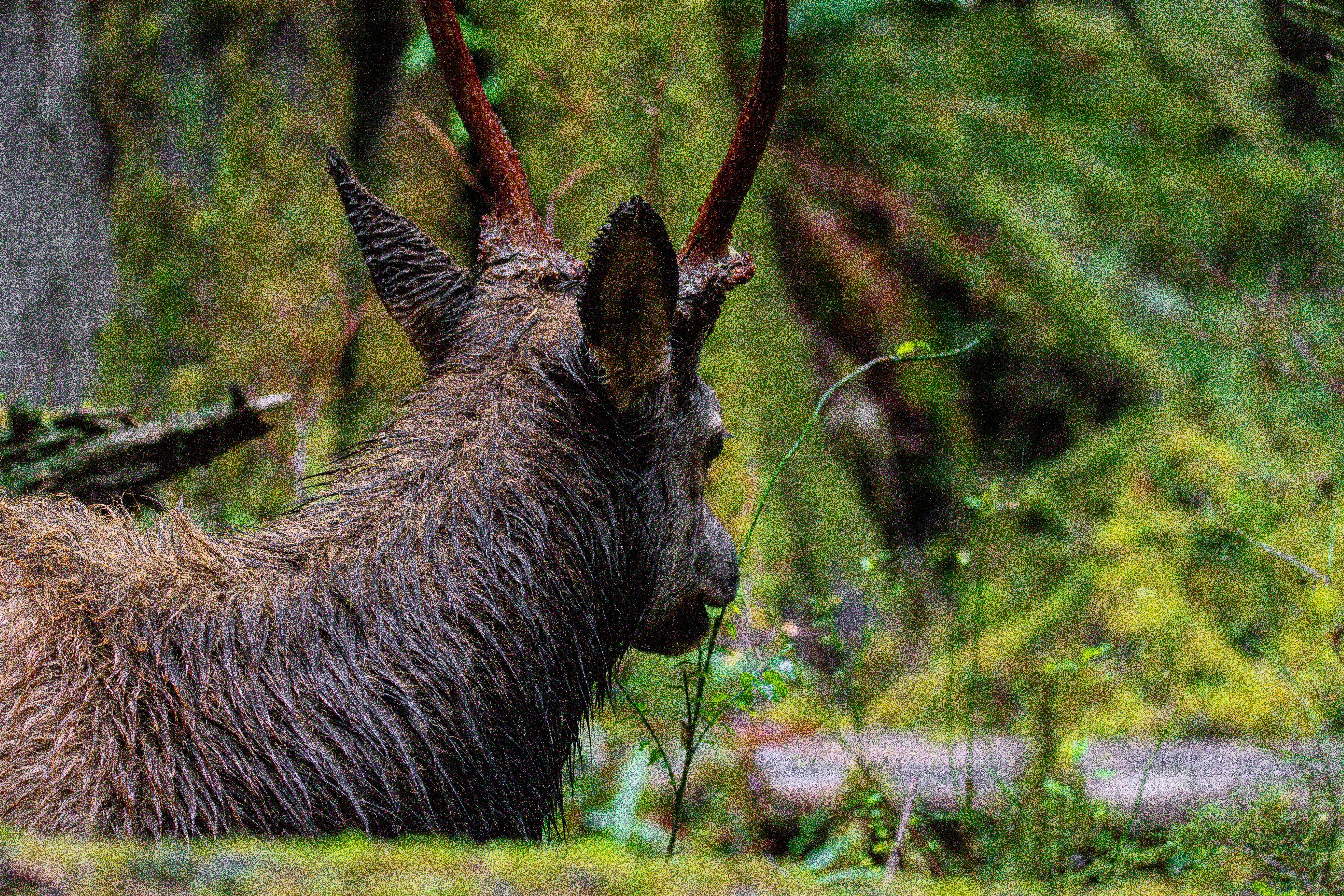 Photo by jackcharles