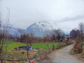 A dirt road leading through green lots with distant views of the Meta landscape.