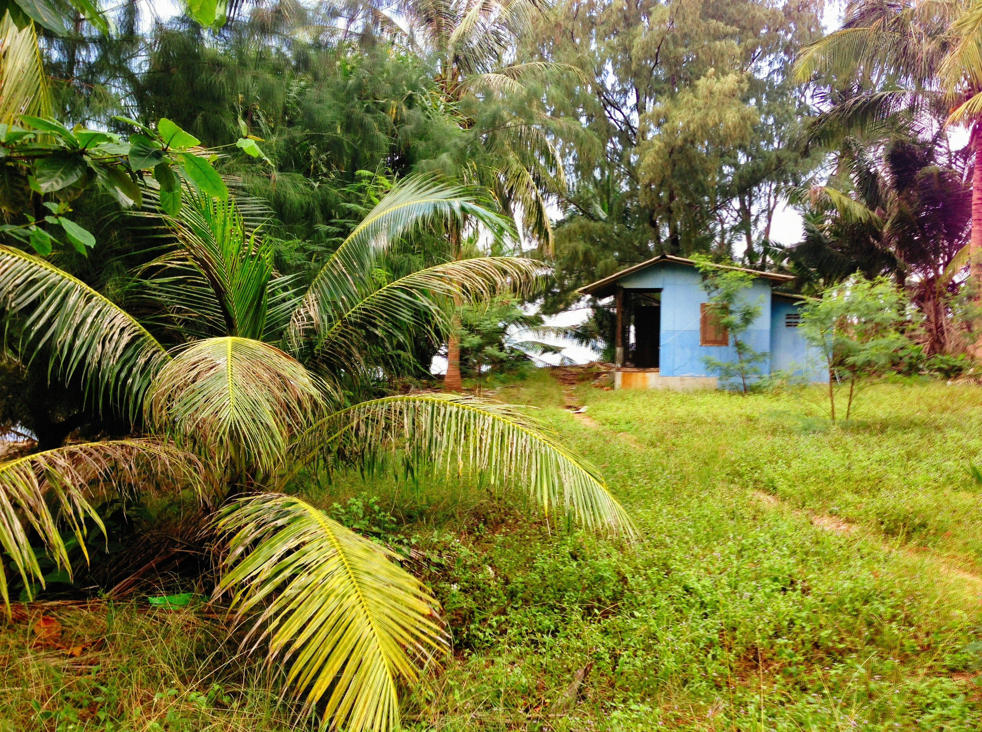 Photo by alexeydemidov