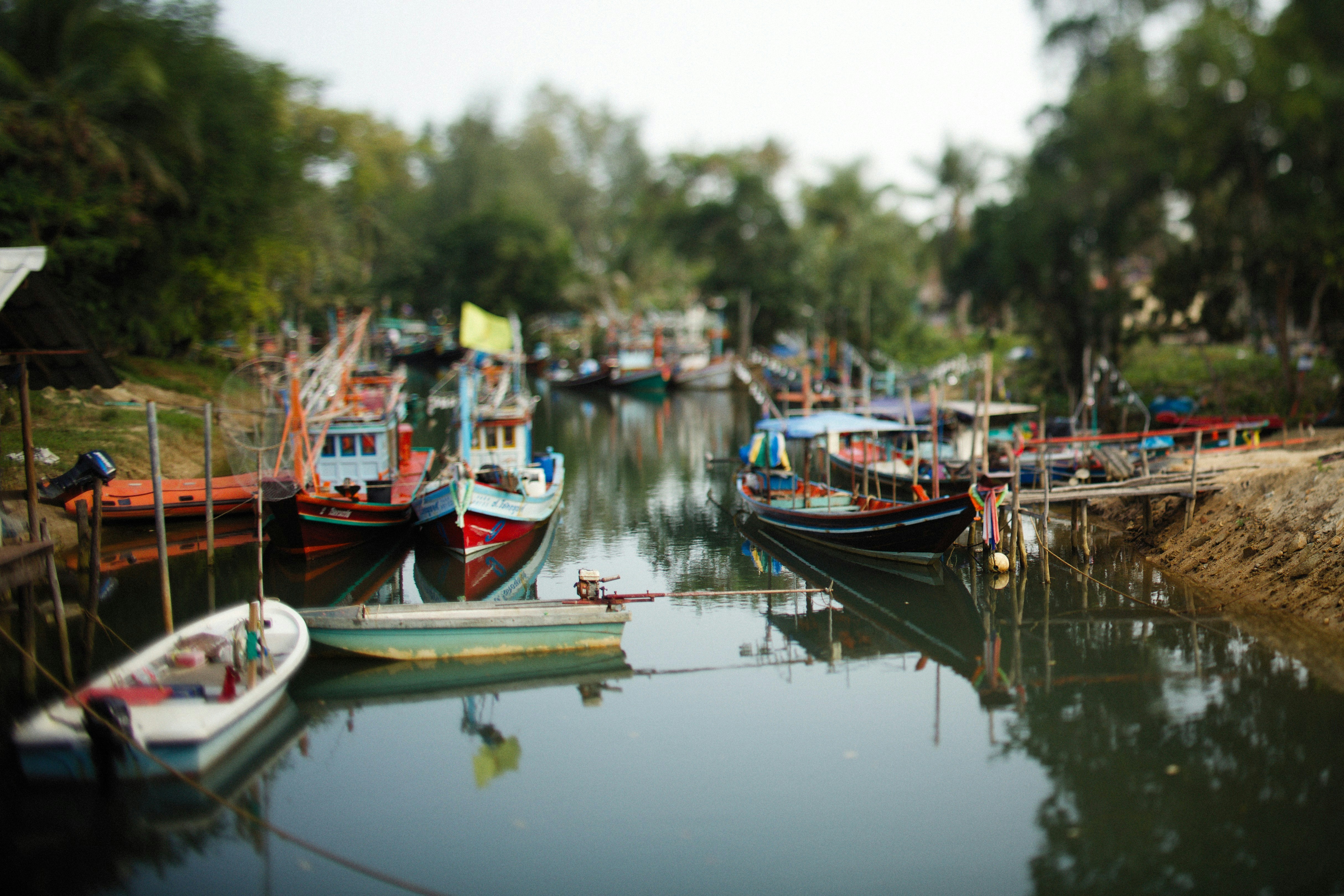 Photo by alexeydemidov