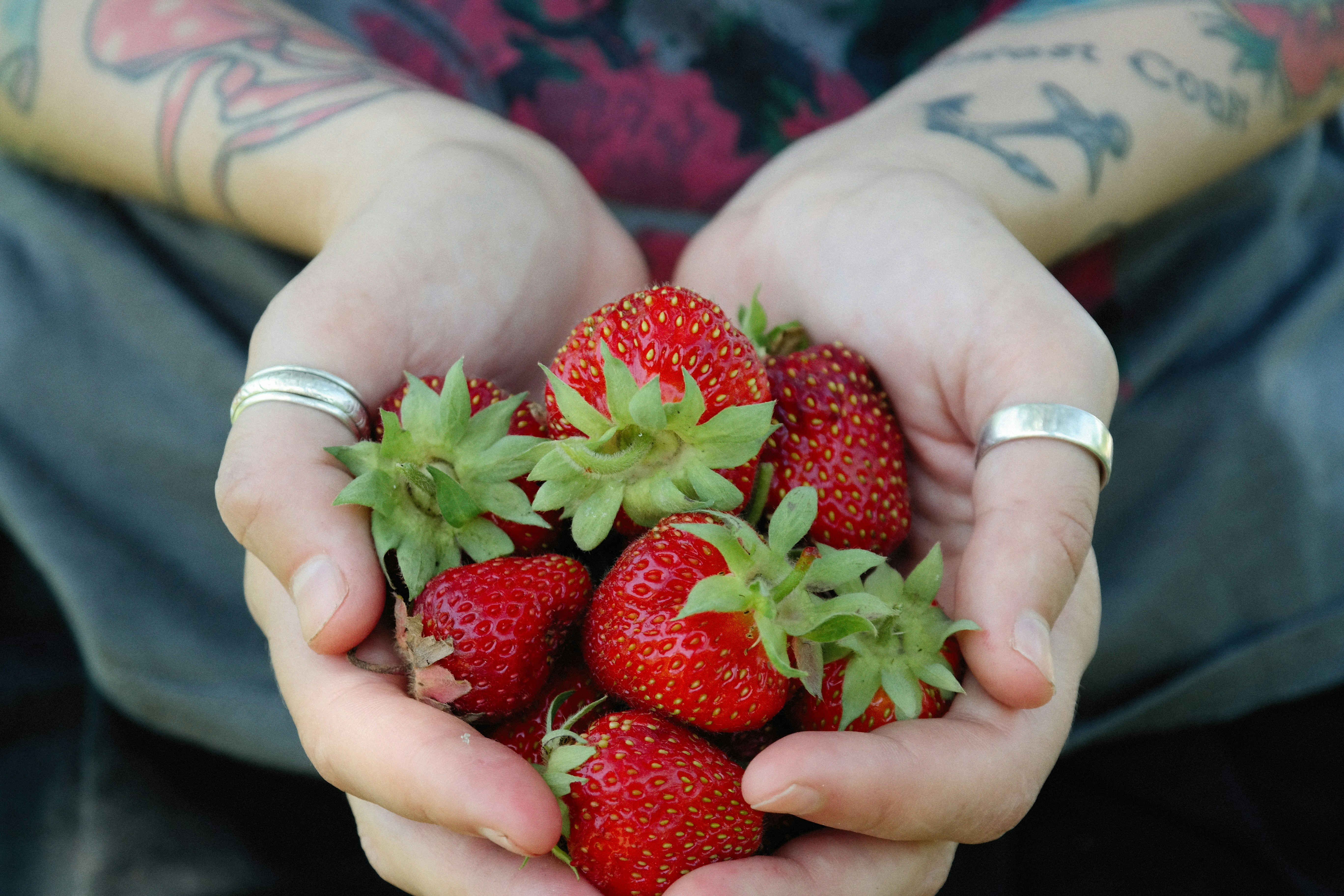 Photo by alexeydemidov