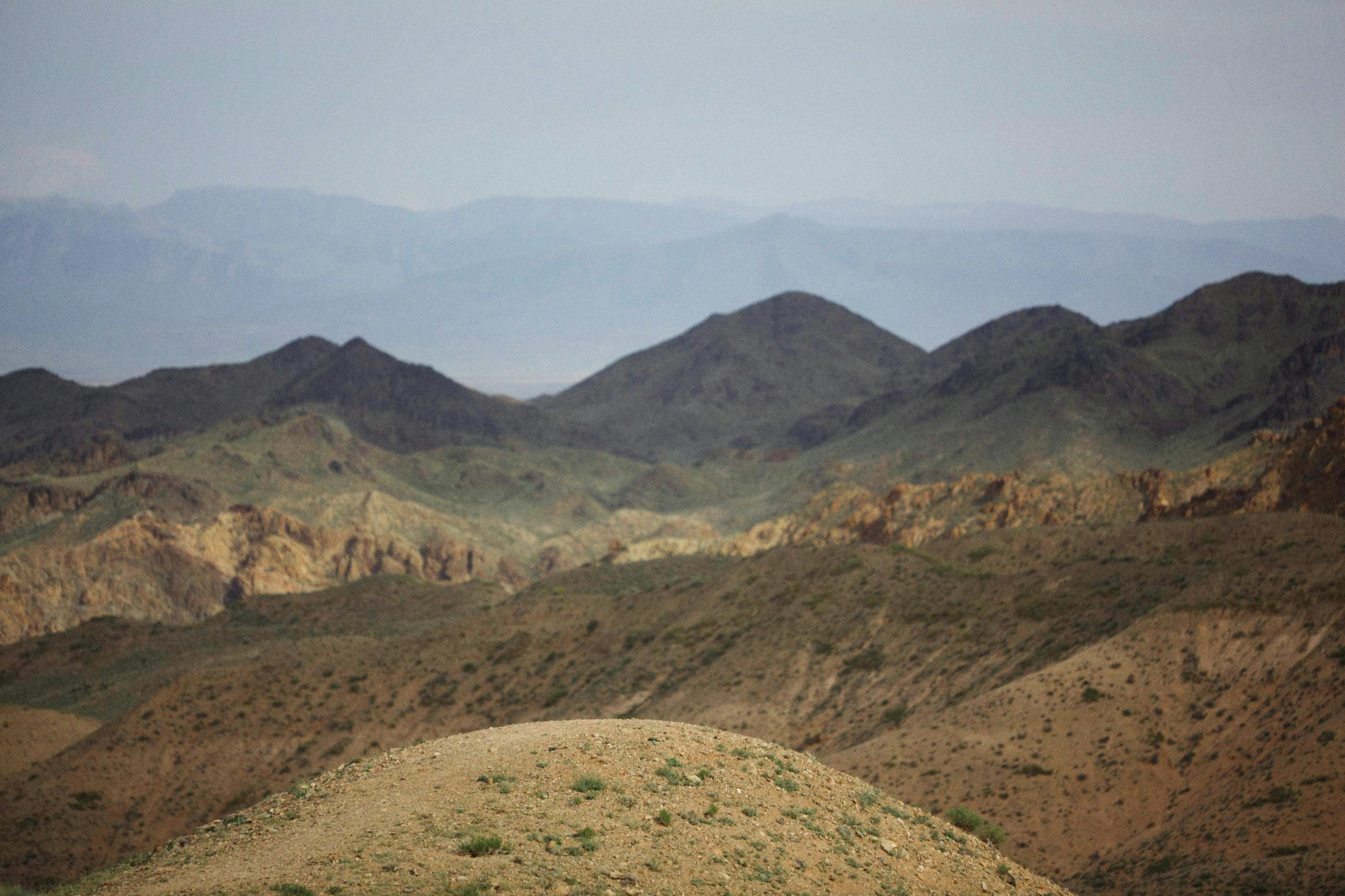 Photo by alexeydemidov