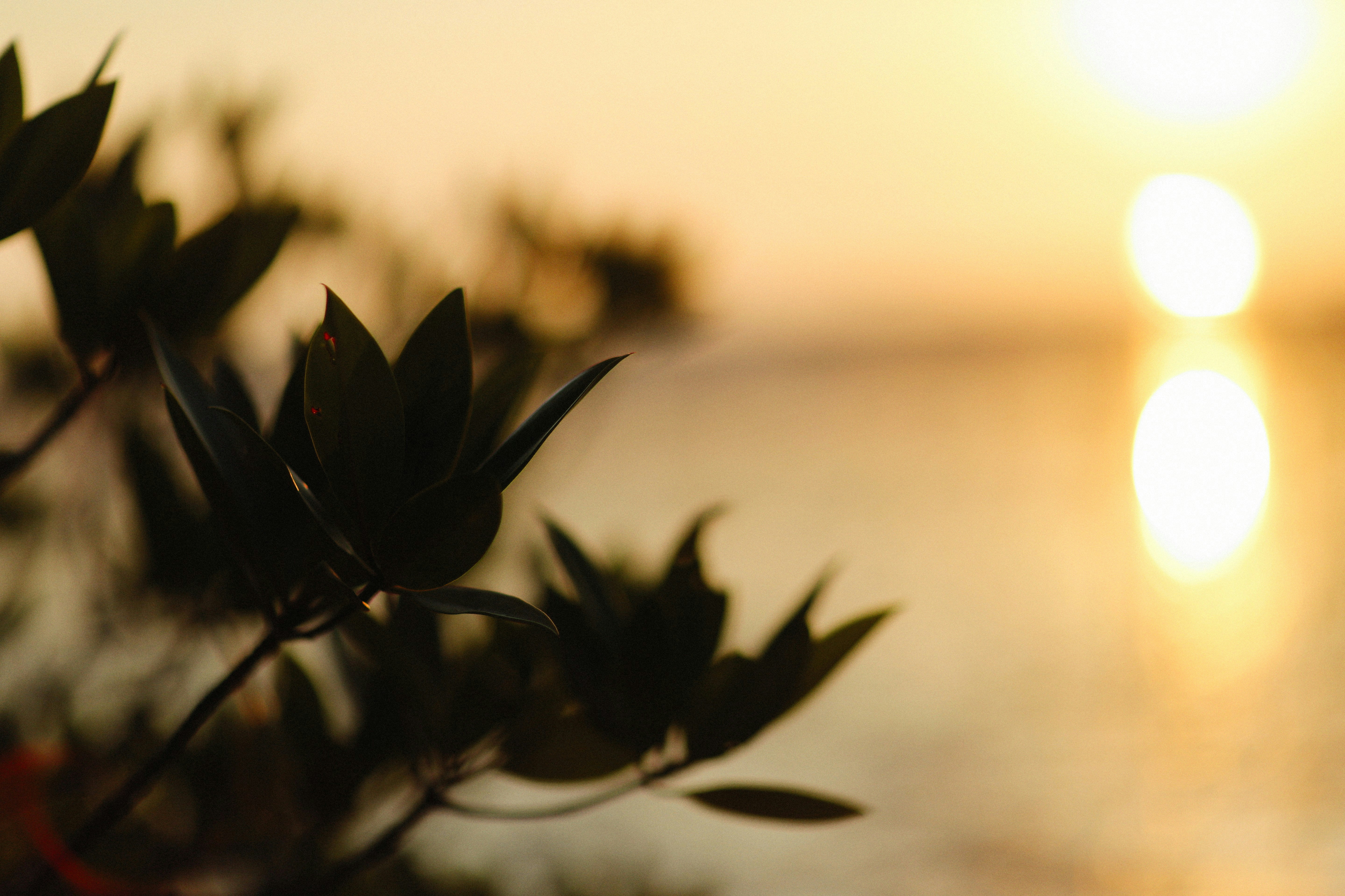 Photo by alexeydemidov