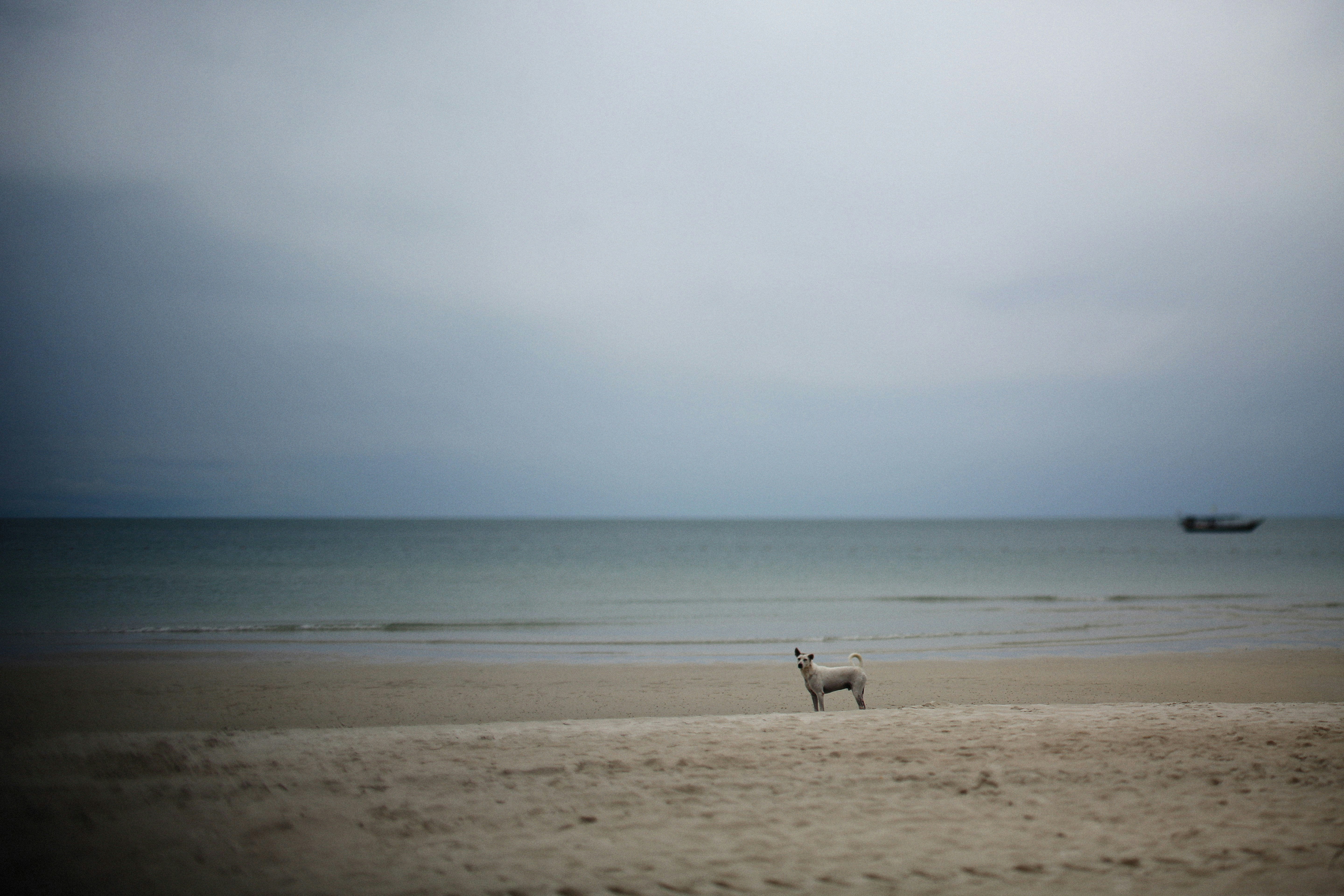 Photo by alexeydemidov