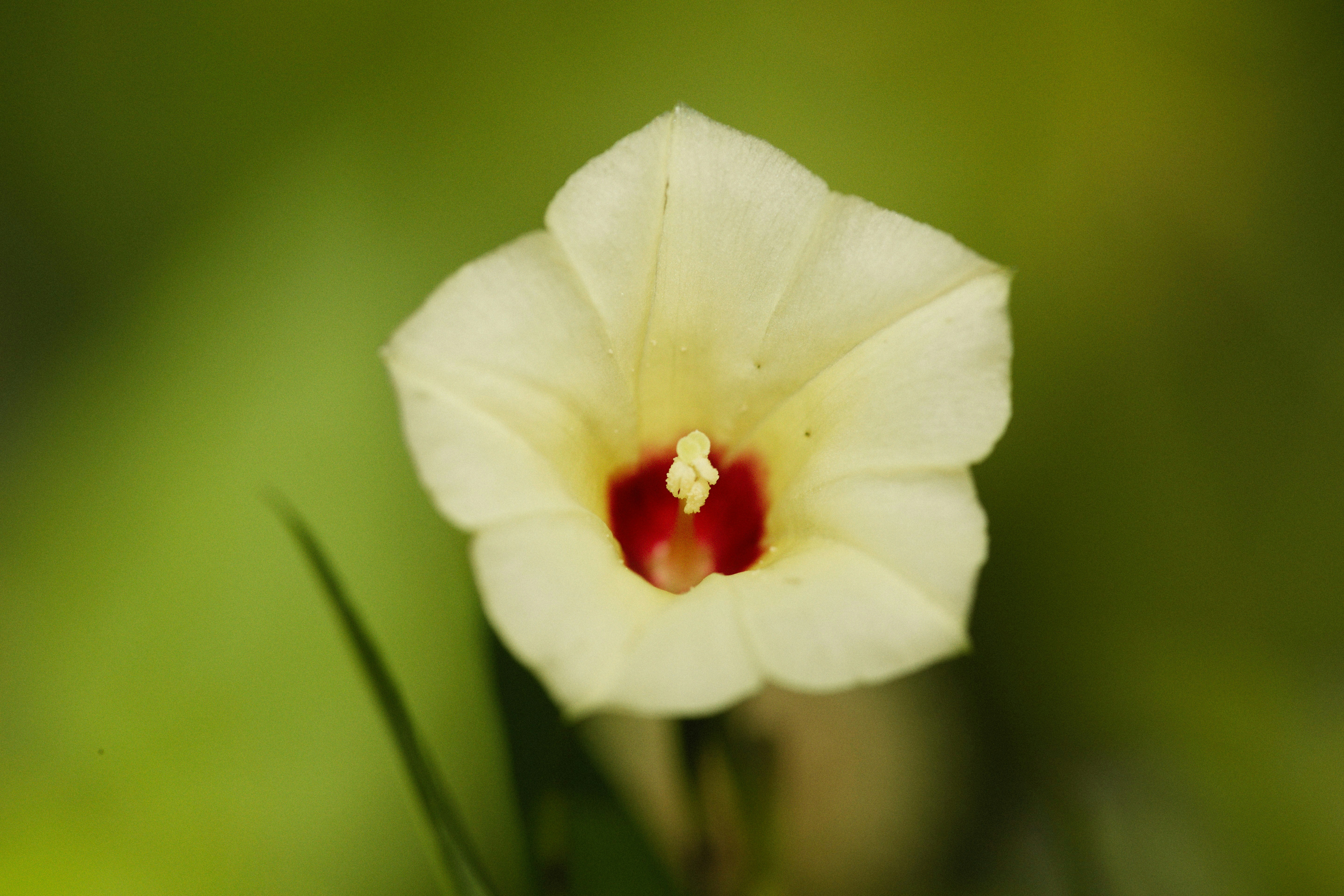 Photo by alexeydemidov