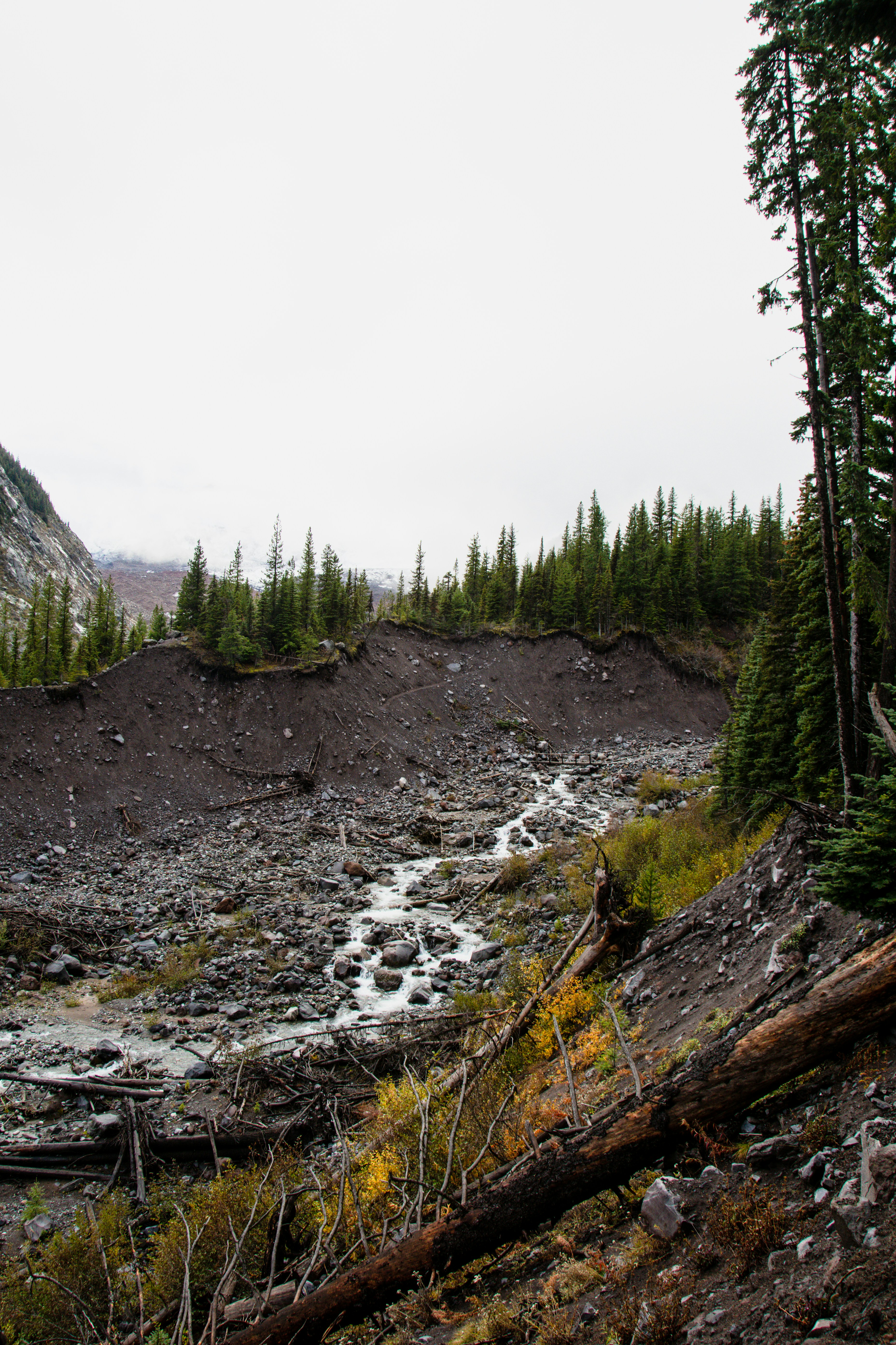 Photo by jackcharles