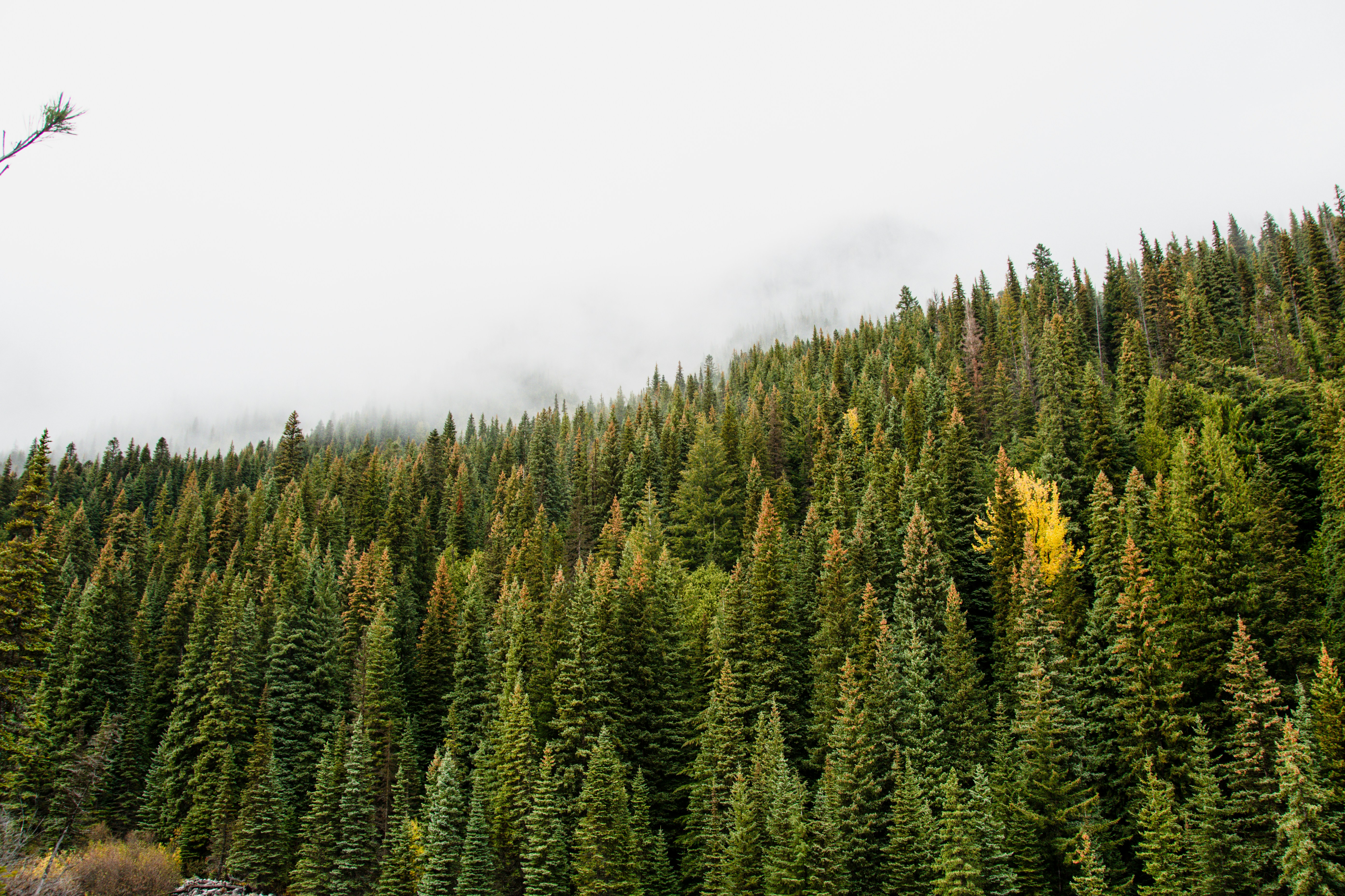 Photo by jackcharles