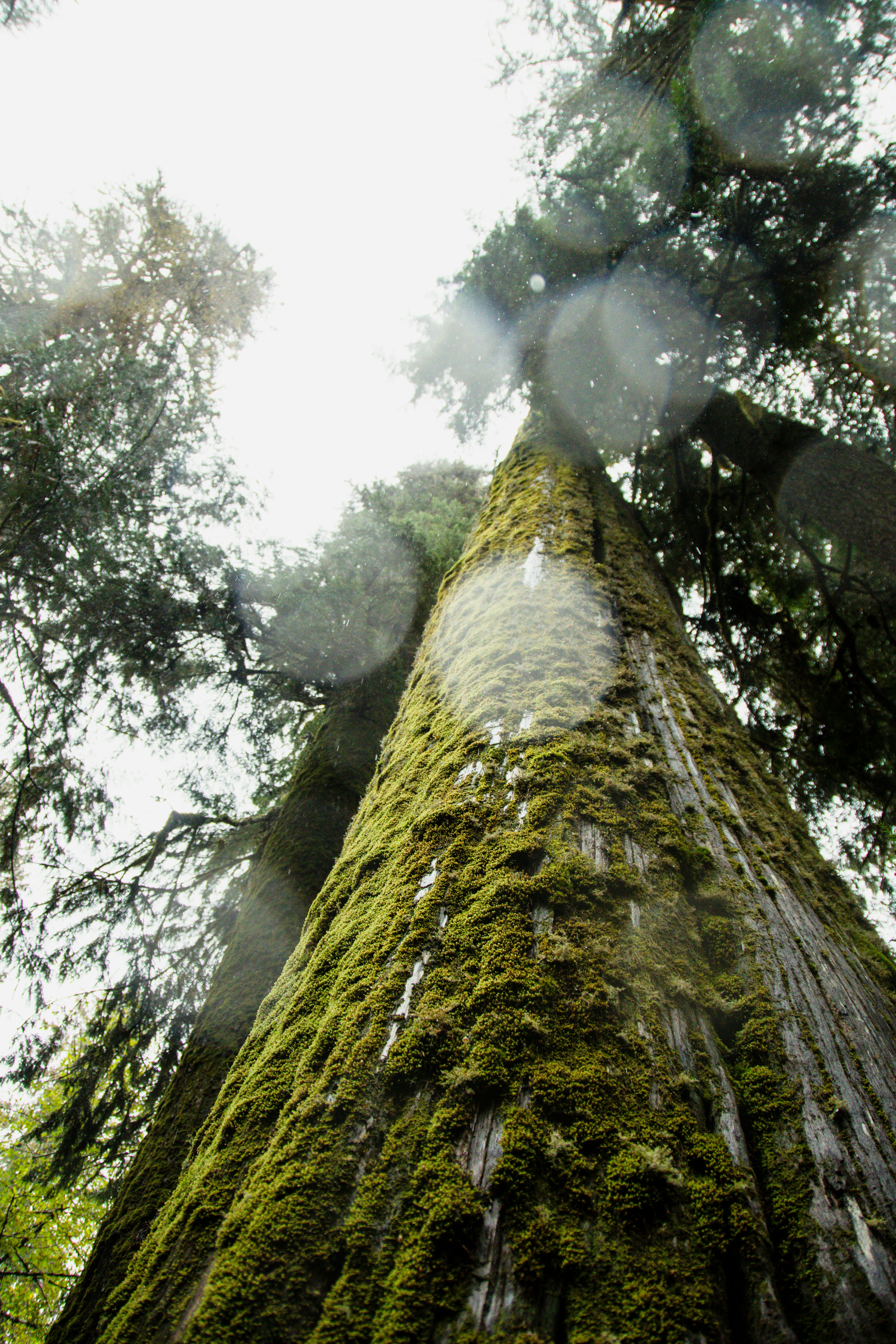 Photo by jackcharles