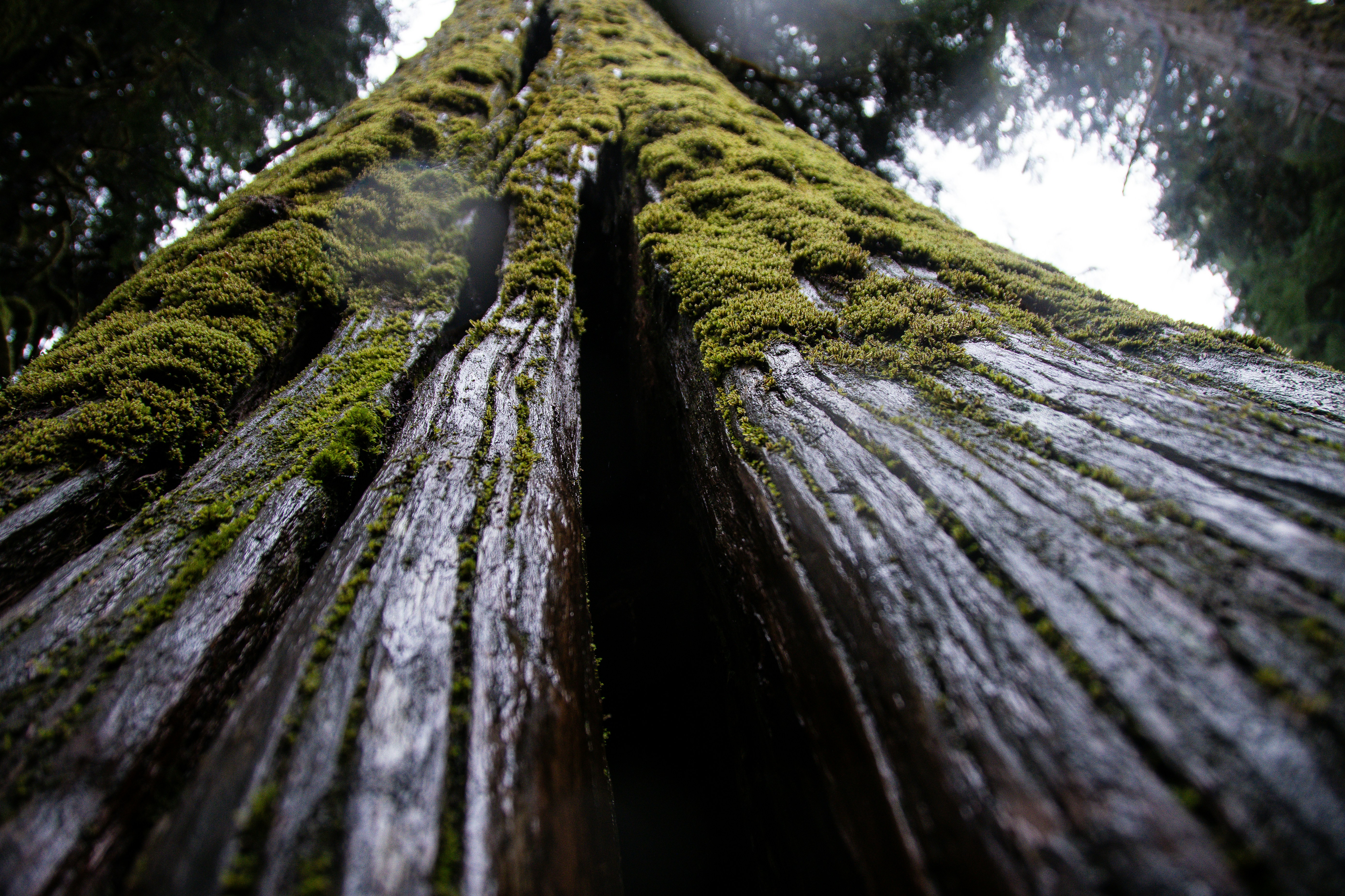 Photo by jackcharles