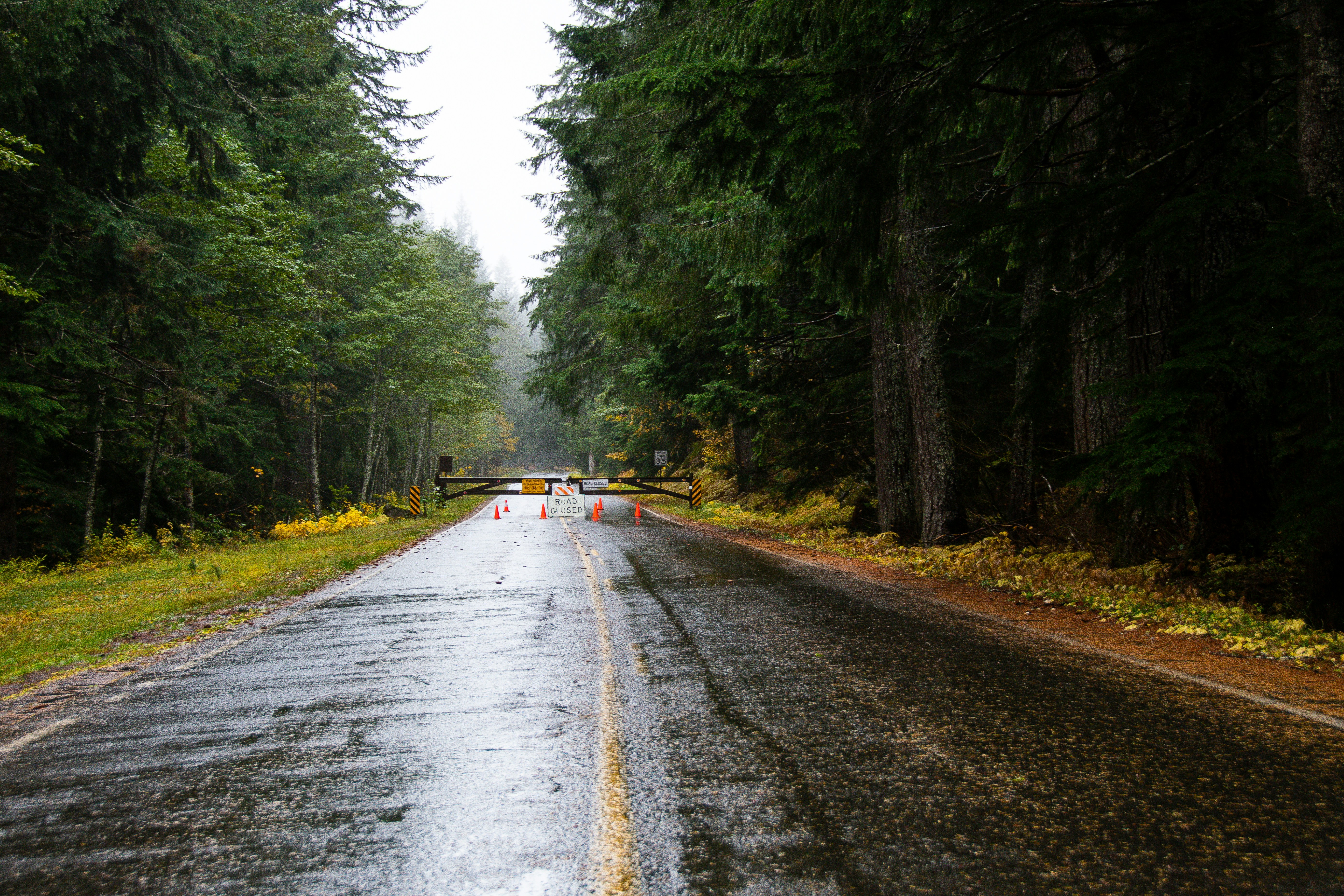 Photo by jackcharles