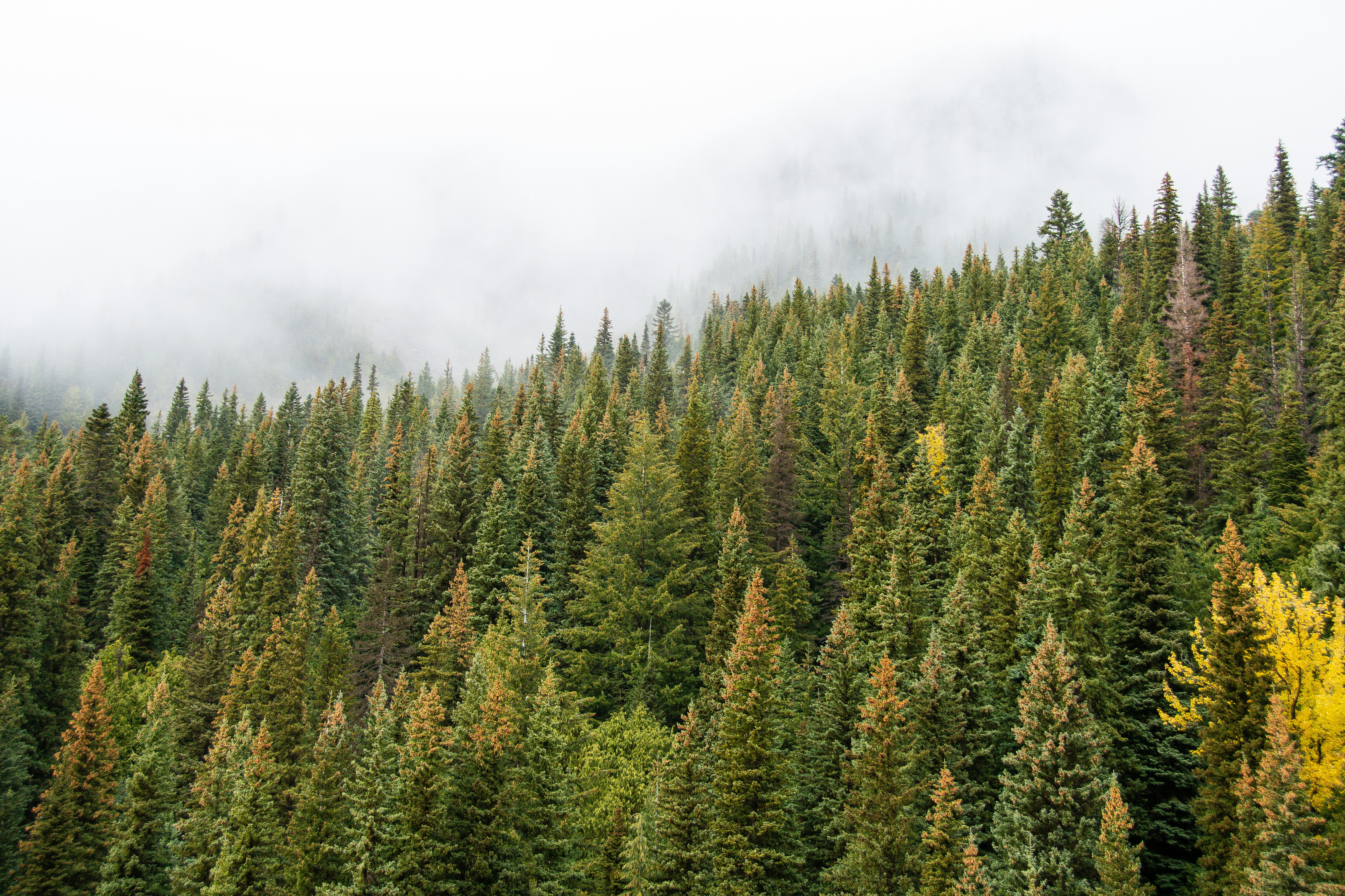 Photo by jackcharles